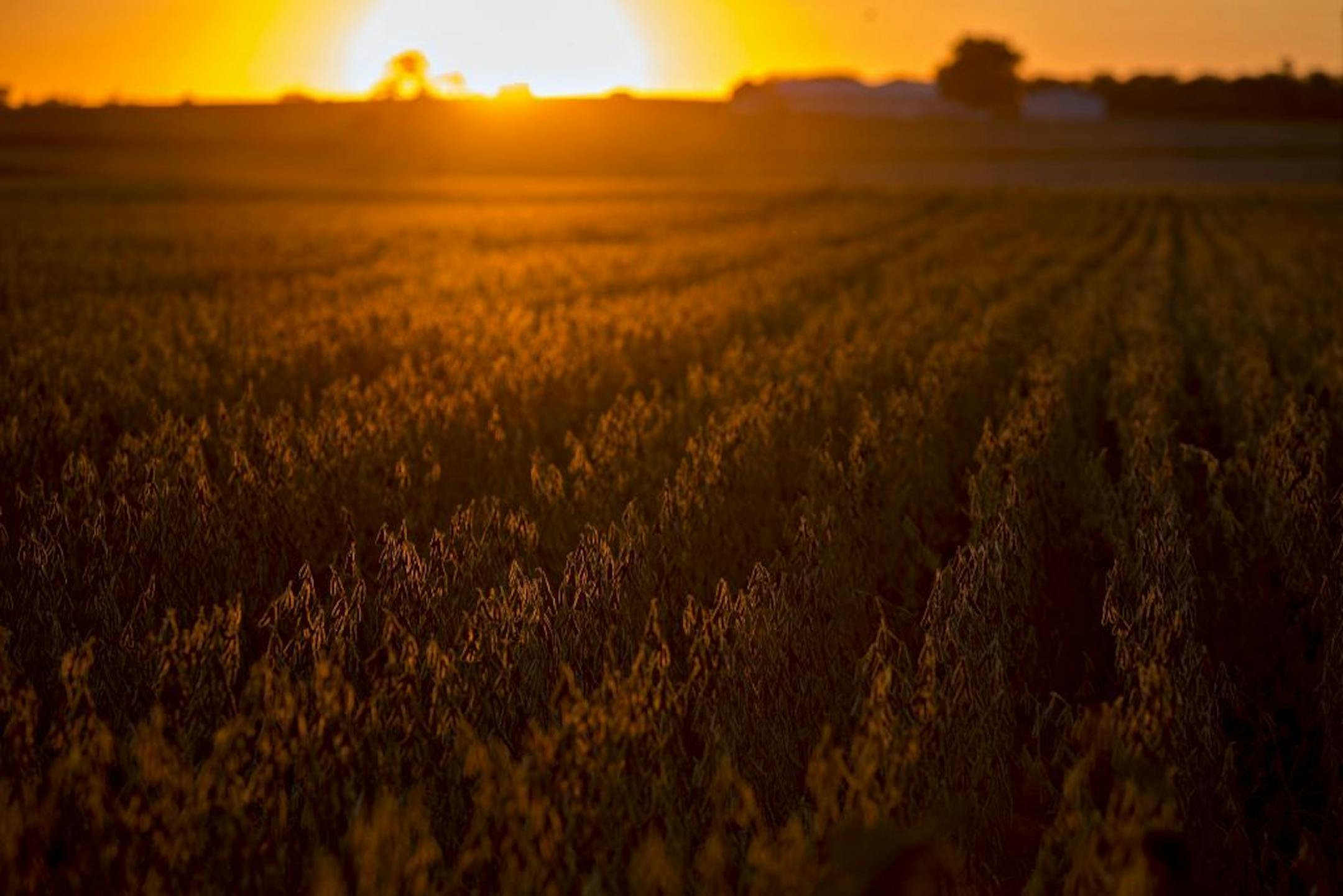 Around the region,farms have faced mounting pressures on all sides, including an international trade war, as well as spring floods and threats of an early frost.