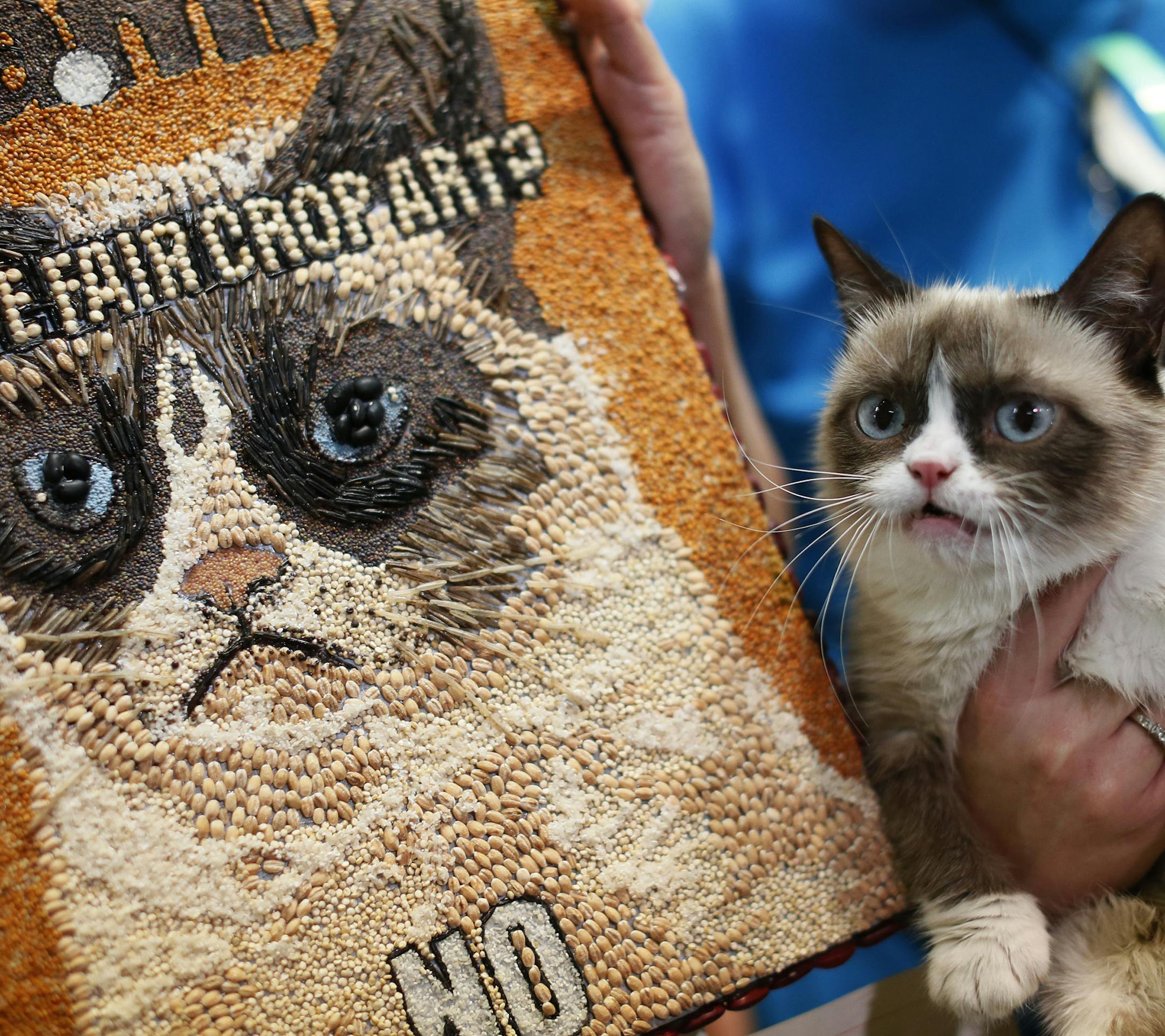 Grumpy Cat in front of his art at the Minnesota State FairWednesday Aug 28 ,2013 in Falcon Heights , MN. ] JERRY HOLT &#x201a;&#xc4;&#xa2; jerry.holt@startribune.com ORG XMIT: MIN1309021354330017