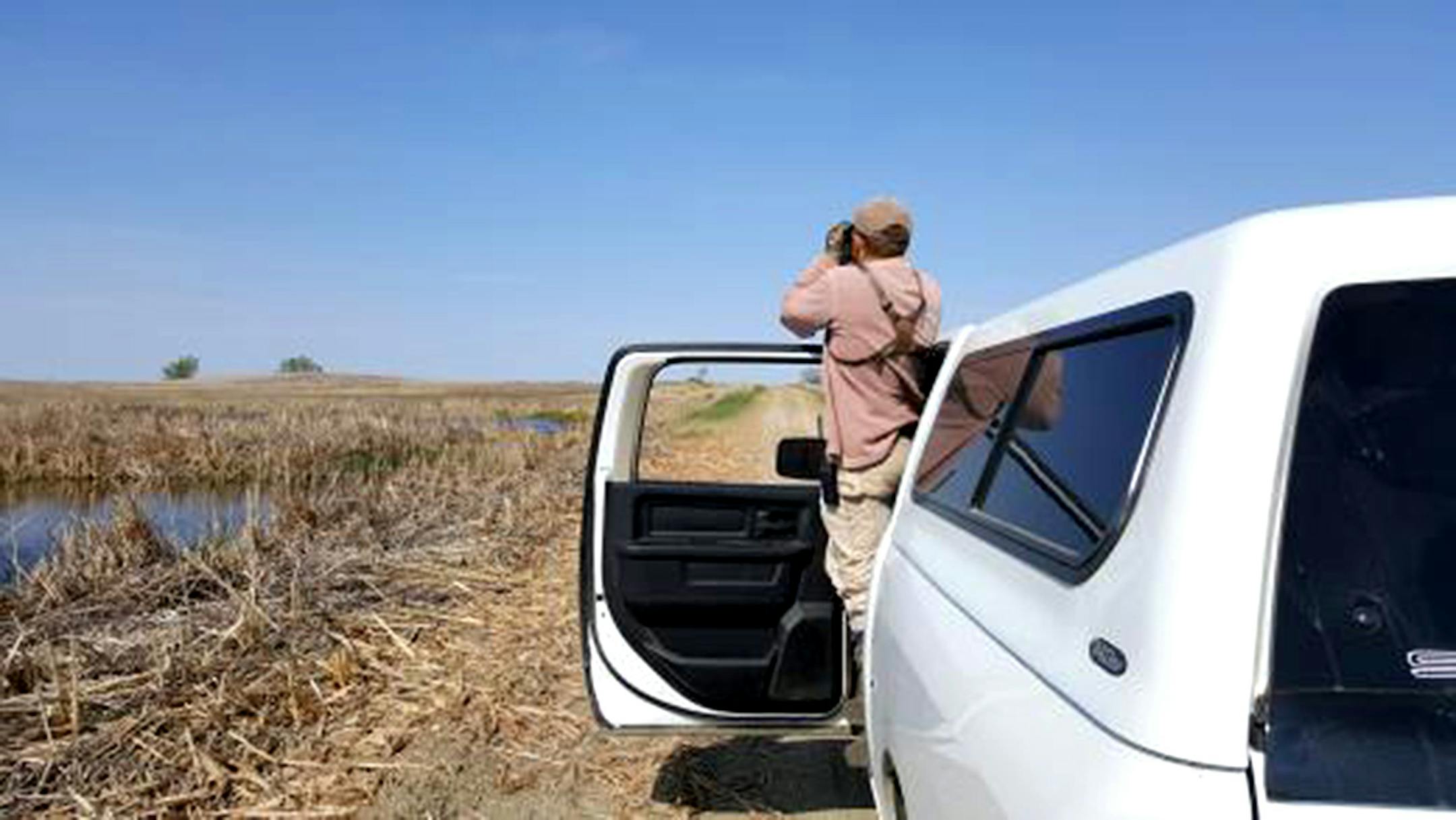 From the air and on the ground, U.S. Fish and Wildlife Service employees count ducks and ponds every spring throughout North America's top waterfowl breeding areas.