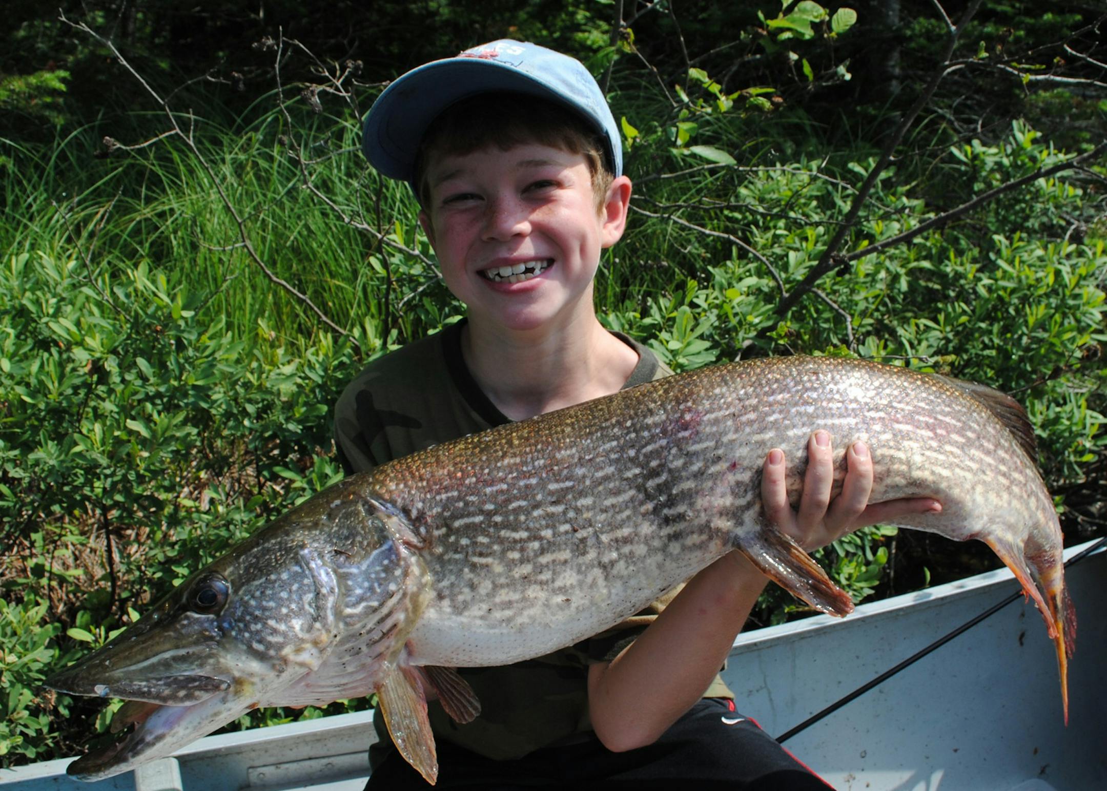 George Altier, 8, Mendota Heights • 40-inch northern • a lake in the Boundary Waters.