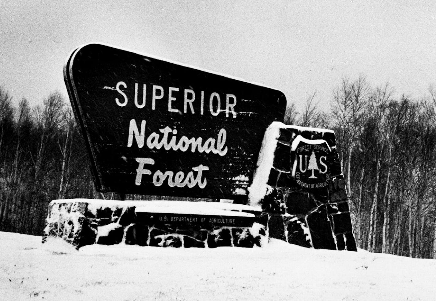 December 9, 1975 Superior Forest entrance near Tofte, Minn. Billions of trees grow in 2,169,000-acre Superior National Forest in Northeastern Minnesota. Finding a suitable and symmetrical Christmas tree in those woods should be easy. It isn't. Spruce and balsam are common and of all sizes. Unfortunately, also of all shapes and a close inspection shows few that would dress up a holiday living room. Joe Hennessy , Minneapolis Star Tribune ORG XMIT: MIN2017012819455422