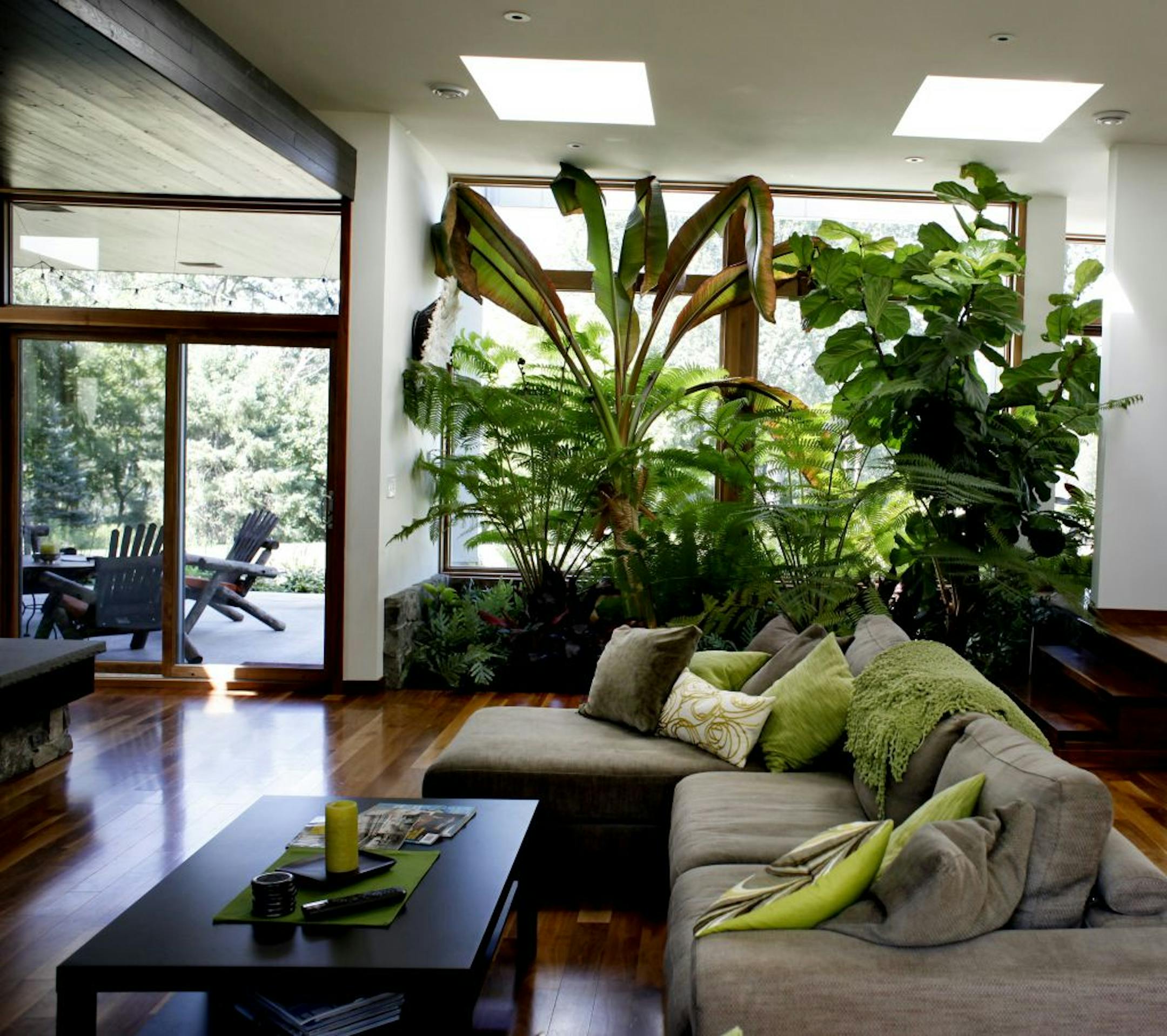 After 70-mile-an hour winds destroyed the Dave and Chip Solner's property, they jumped at the opportunity rebuild a green home using the trees that toppled down during the storm. Dave designed the sky windows at a specific angle to send light to their indoor garden in the living room in Apple Valley, Minn. on Tuesday, Aug. 7, 2012.