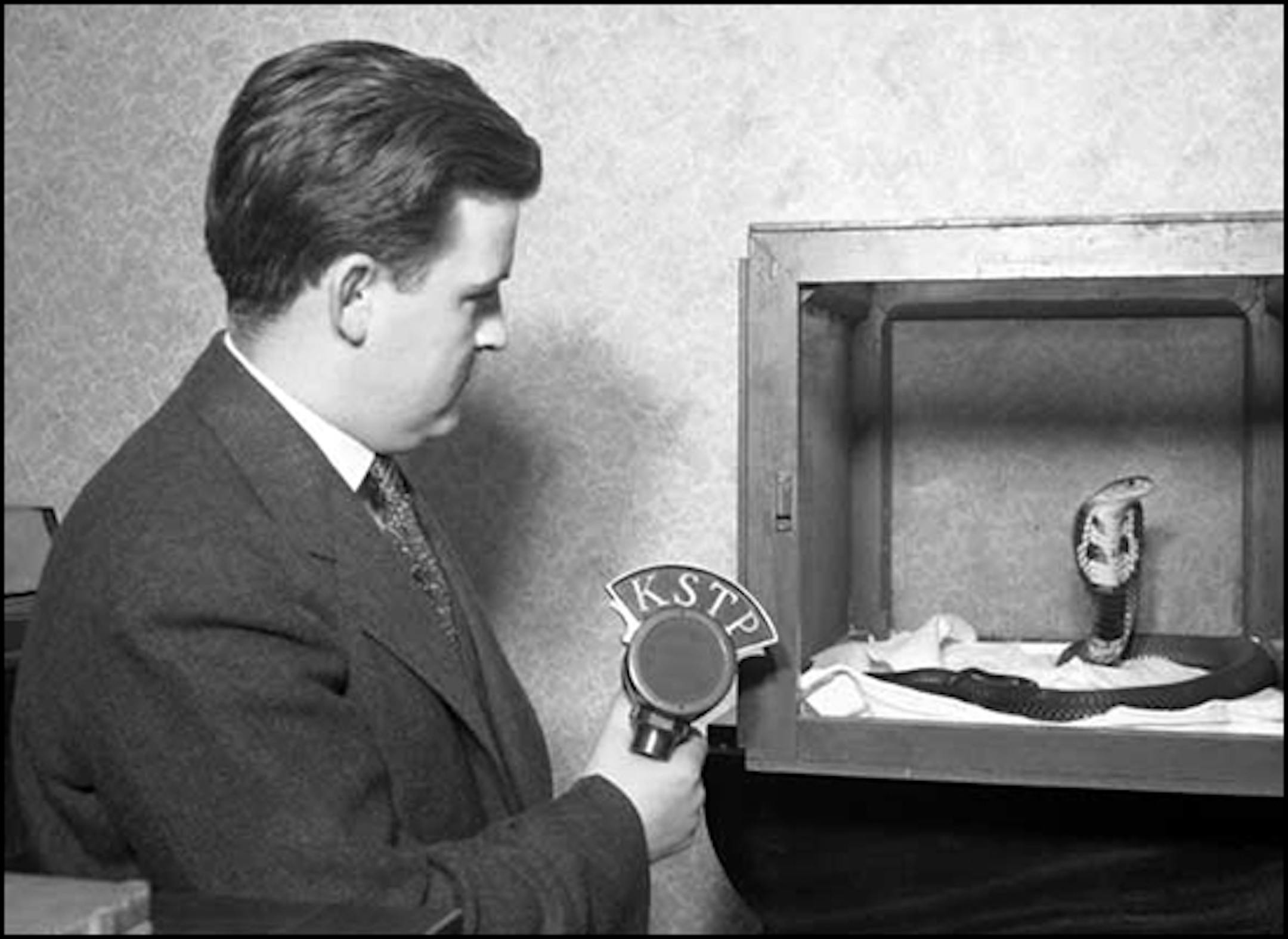 The only caption information available: Radioman from KSTP interviewing a cobra snake. 11/08/1937
