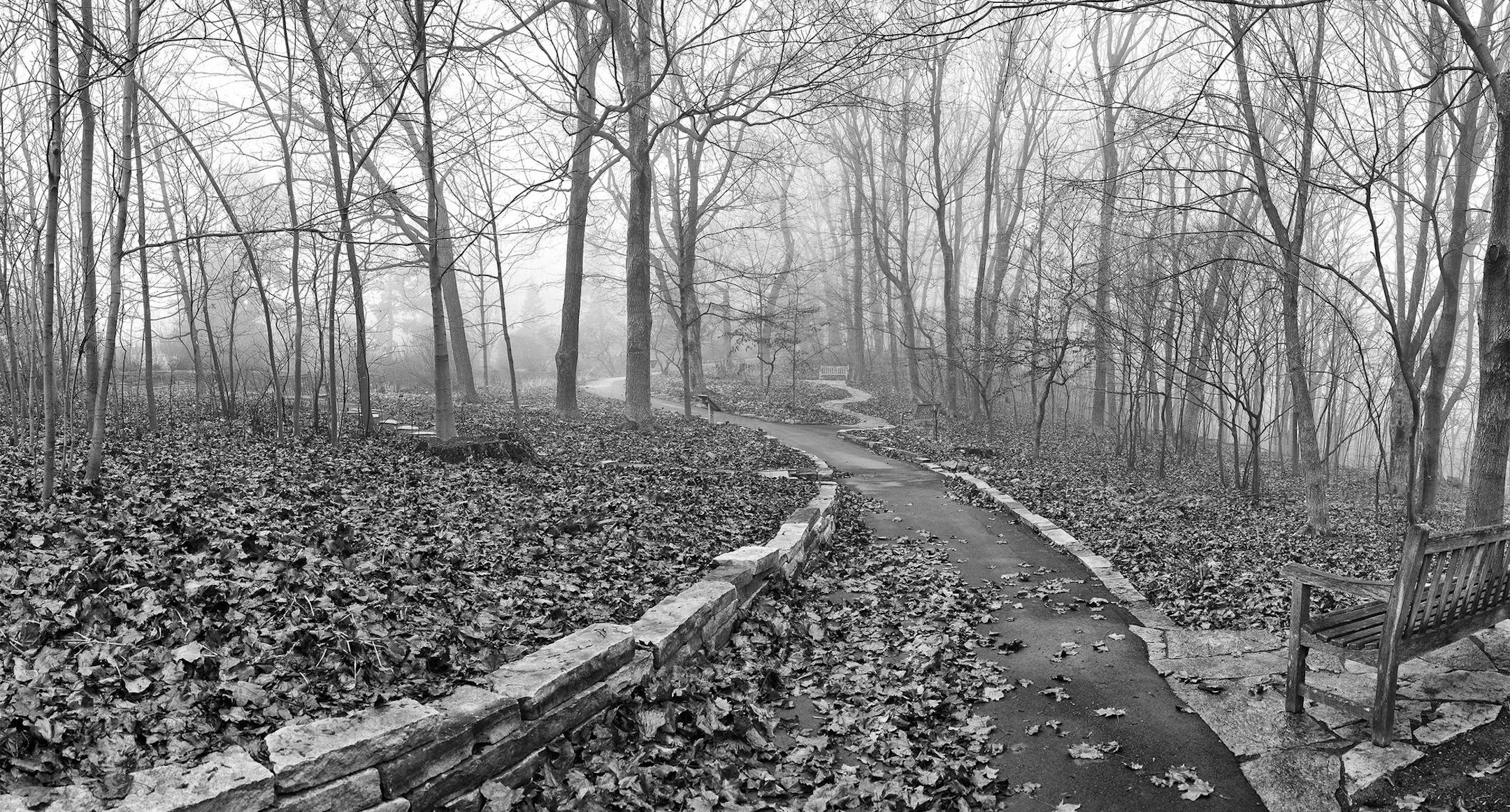 "Three Benches," a photo by Todd Mulvihill