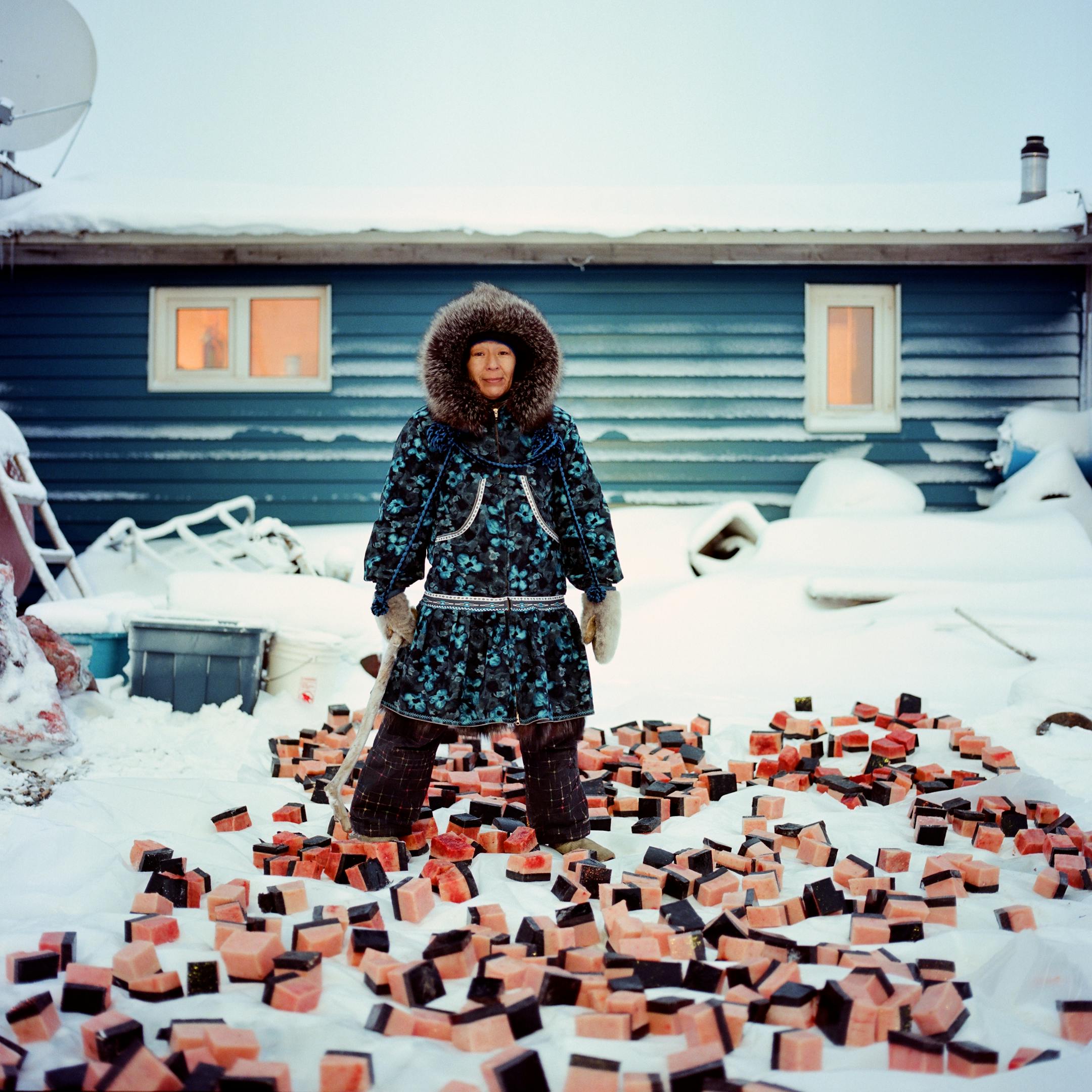 KAKTOVIK, ALASKA - 2015: Marie Rexford of Kaktovik, Alaska preparing maktak for the villages Thanksgiving Day feast.