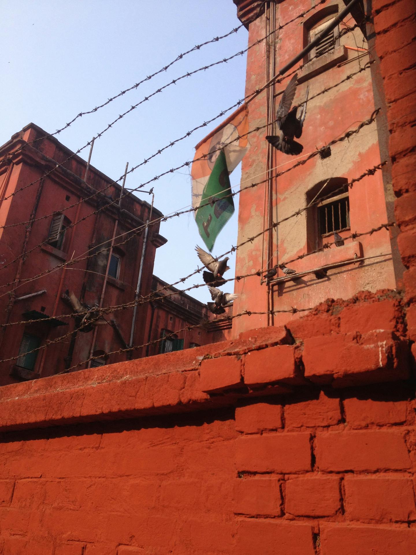 Birds fly to a ledge in Kolkata, India. Photo by Diane Richard * Special to the Star Tribune