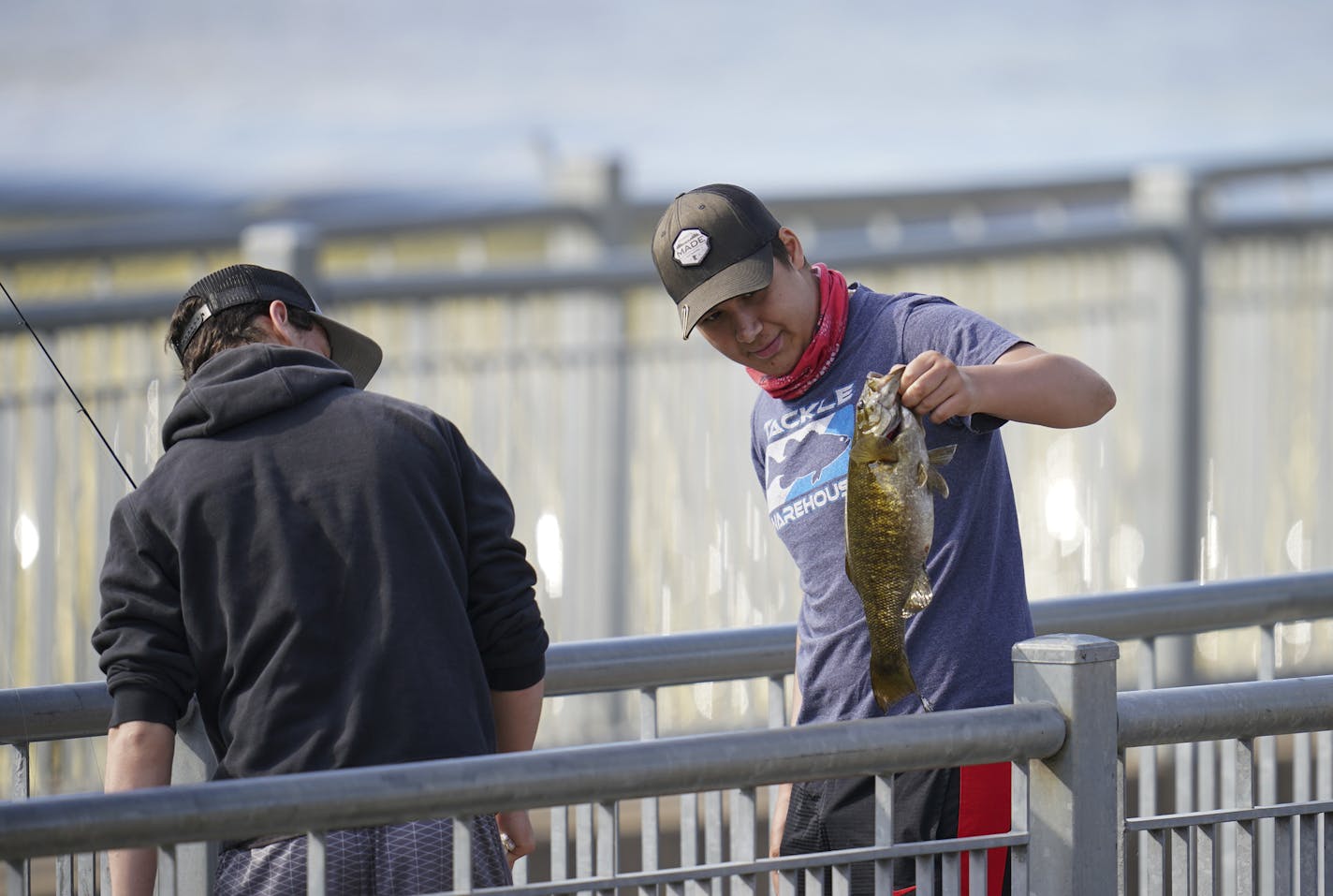 Daniel Belous, 15, held up a smallmouth bass he'd just caught at the Rum River Dam from the in Anoka Wednesday afternoon. He was released it after measuring it and snapping a photo. ] JEFF WHEELER &#x2022; Jeff.Wheeler@startribune.com Fishing license sales are exploding one week before the fishing opener, we interview a few kids License sales to the 16- to 17-year-old group has more than doubled from a year ago, up 105 percent year. Teens were photographed fishing at the Rum River Dam in Anoka a