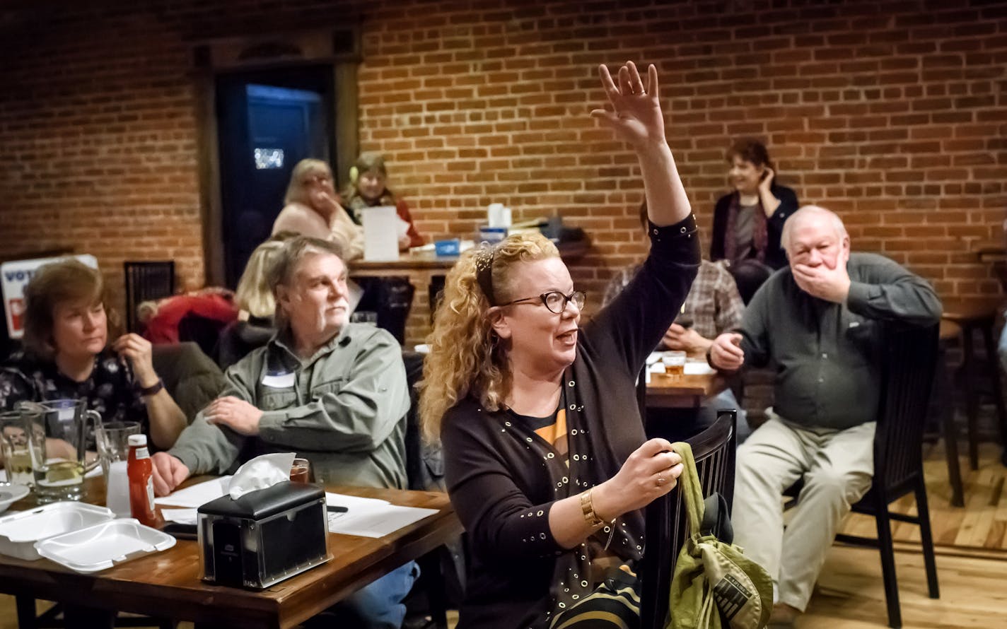 County Party Chair Rebecca Bonesteel spoke as the St. Croix County, Wis., Democrats discussed strategies for getting more Democratic candidates to run for state offices.