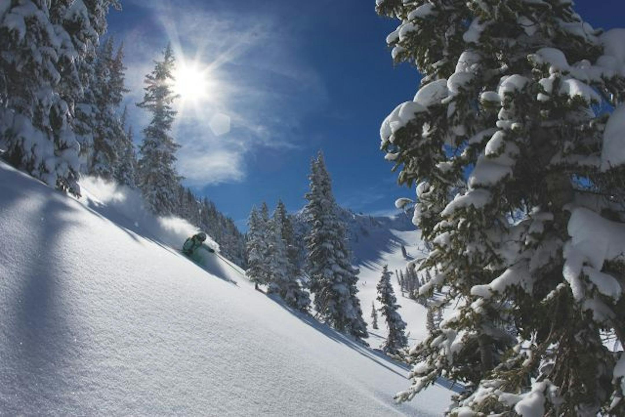 Perfect Pow Turncredit: Will Wissman / Ski Utah http://www.skiutah.com/
