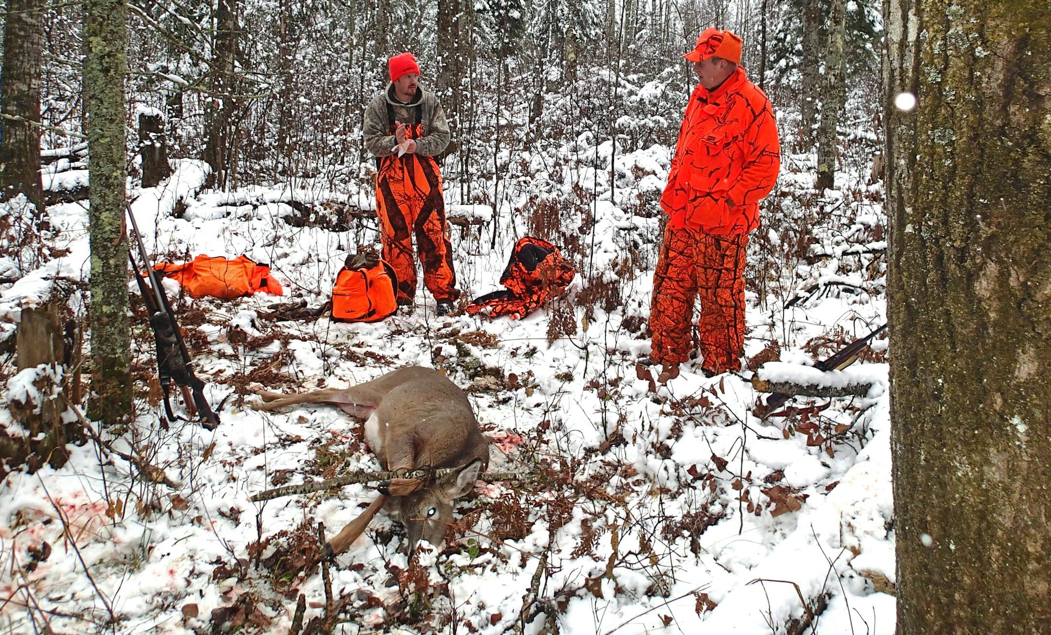Brian Anderson, left, of Champlin, and his dad, Dick Anderson of Eveleth, Minn., prepare to drag a buck out of the woods that Brian shot on the first day of the whitetail season.