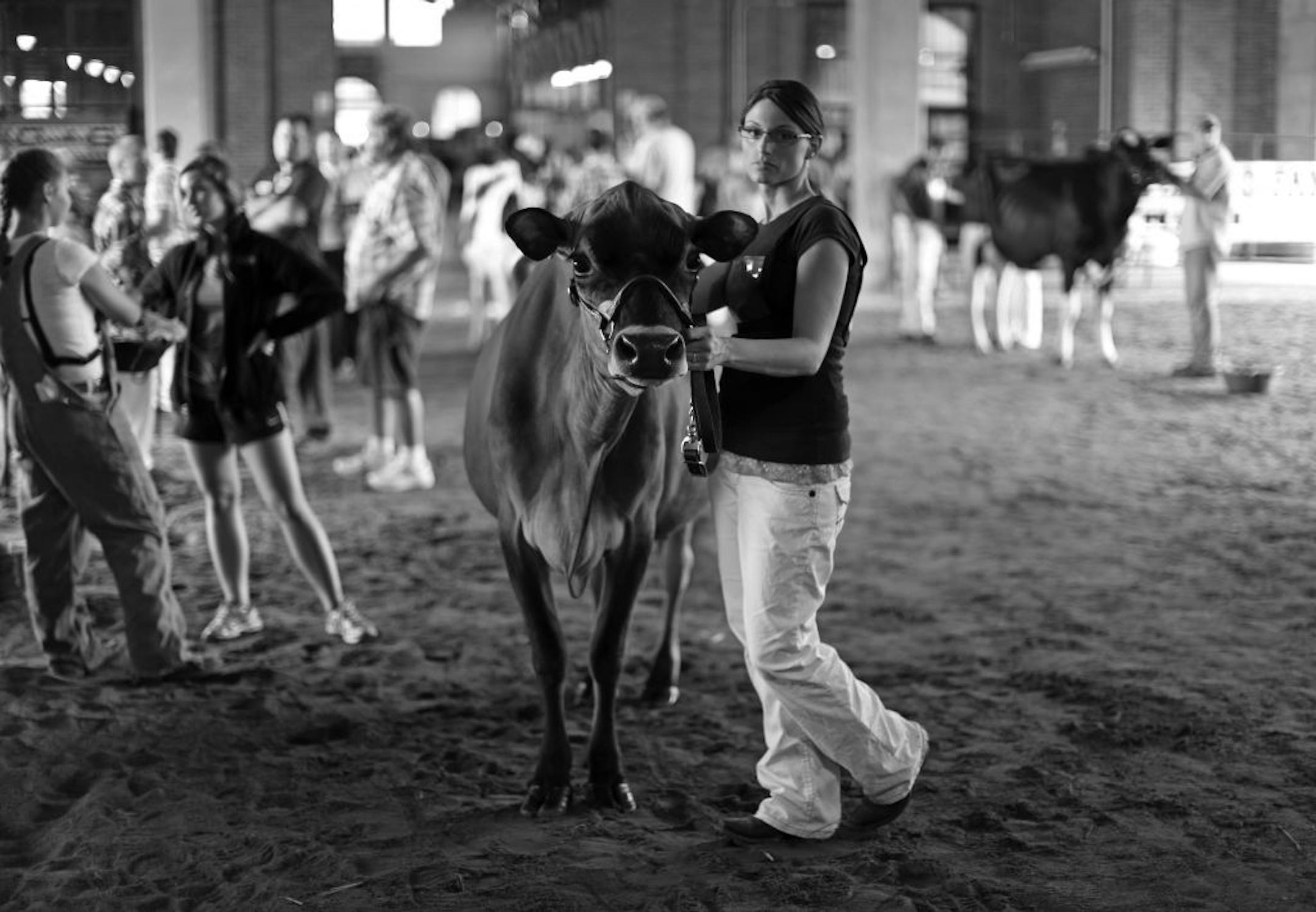 Jaime Riebe waits for competition to start with her Jersey Cow Pearl. The Minnesota State Fair, also known as the Great Minnesota Get-Together, is one of the most unusual entertainment opportunities in the country. From watching pigs being born to eating everything off a stick, the fair is uniquely Minnesota.