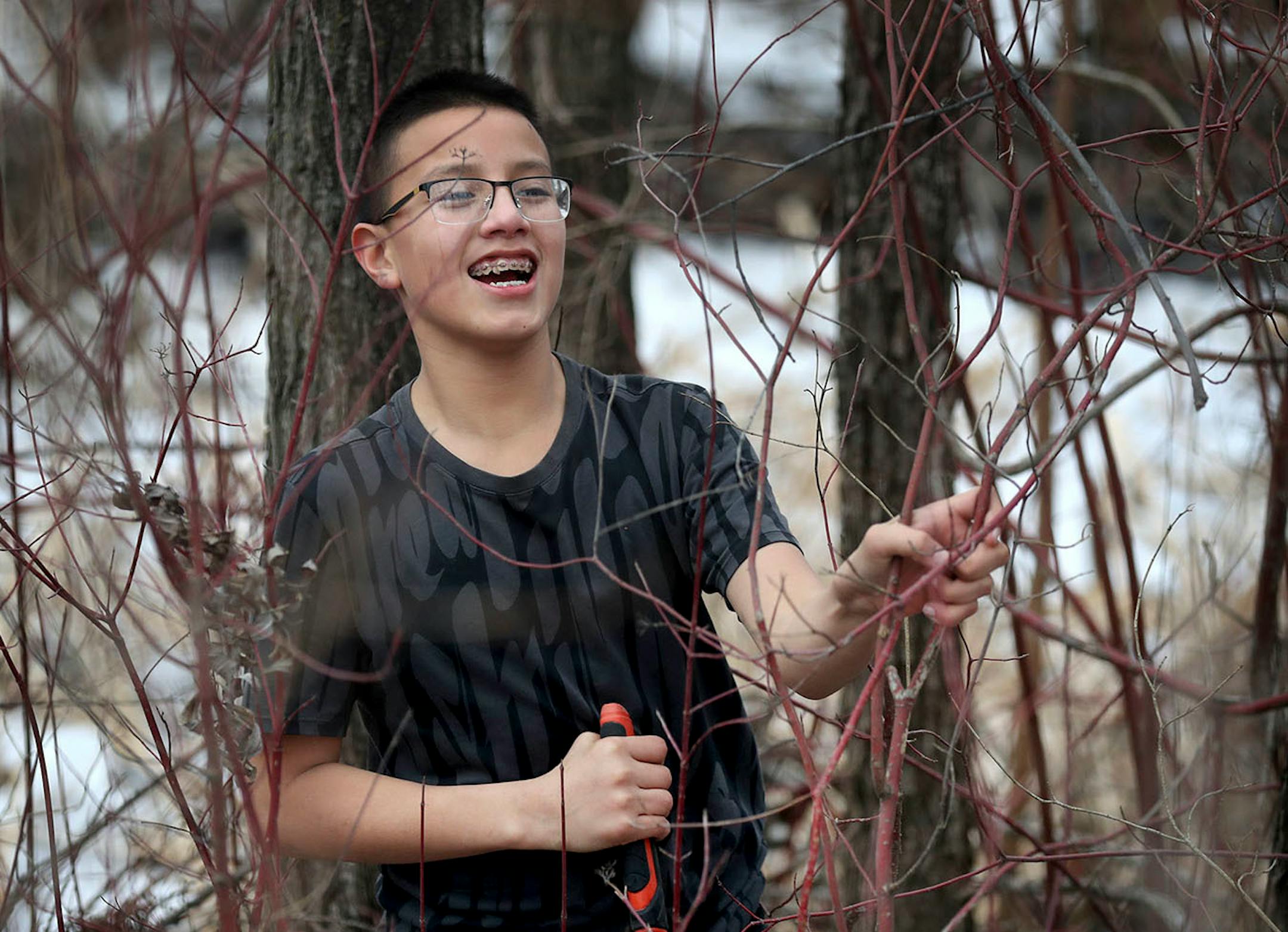 Lower Sioux Community member Tukan Eastman, 13, cuts red willow while talking with friends.