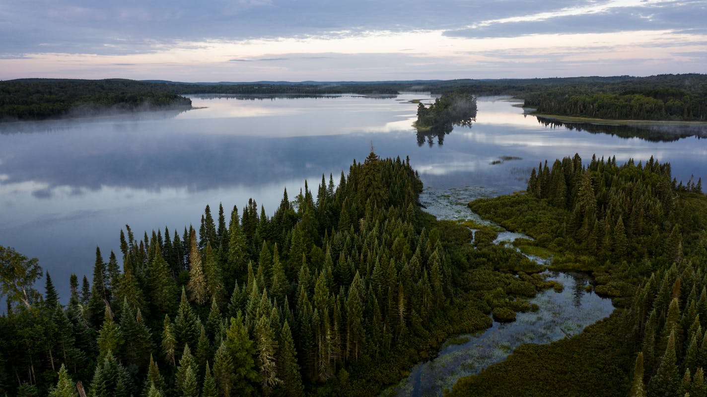 This photo shows a portion of the 2,100 acres of wilderness purchased by the Nature Conservancy from Mike Freed in Superior National Forest. Photo by Jason Whalen | Fauna Creative