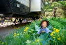 Zeke Hilback, 2, played in the grass in front of his family's camper in Jay Cooke State Park in Duluth on Wednesday. ]