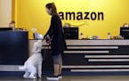 FILE - In this Wednesday, Oct. 11, 2017, file photo, an Amazon employee gives her dog a biscuit as the pair head into a company building, where dogs a