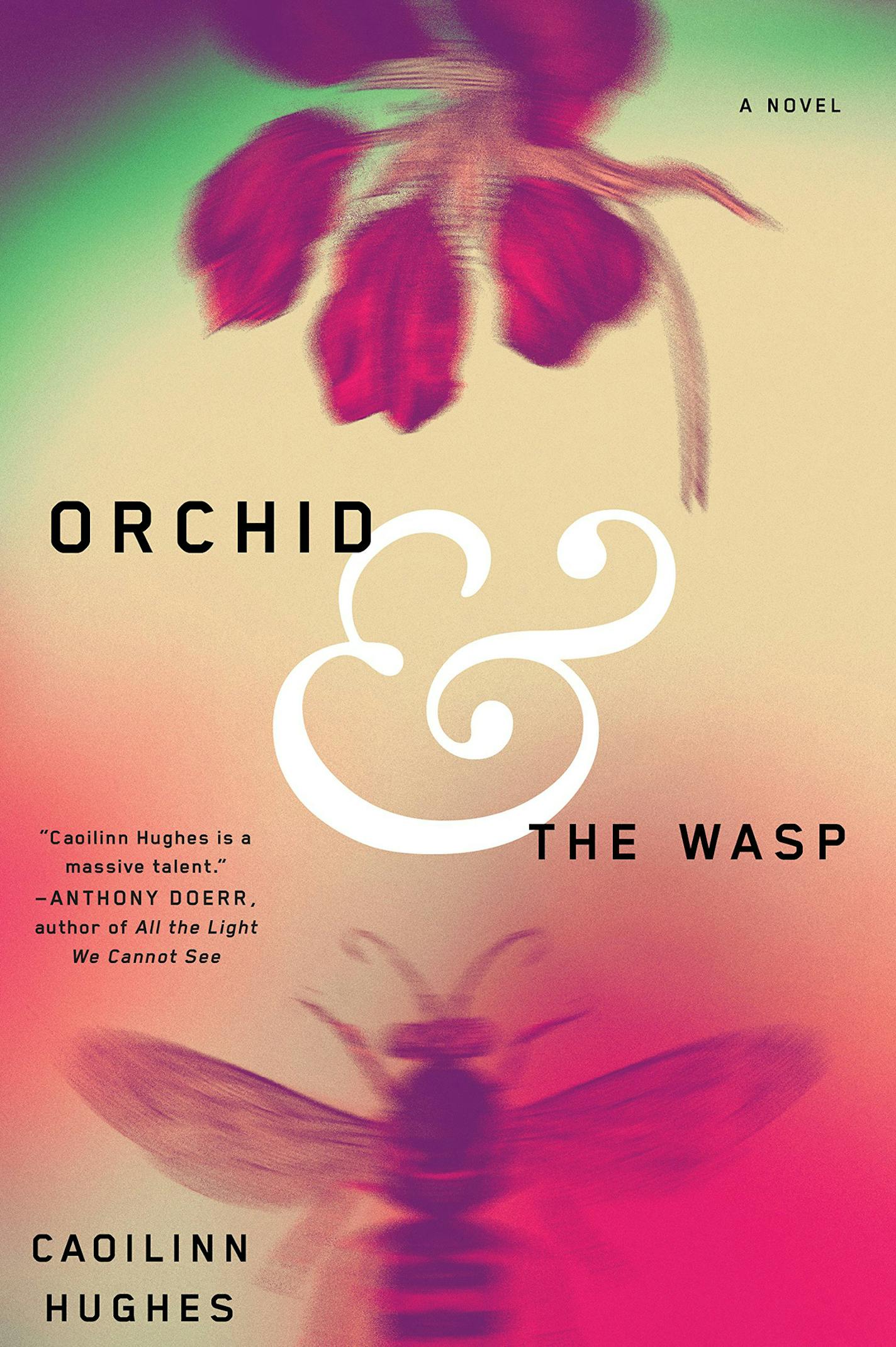 "Orchid & the Wasp" by Caoilinn Hughes