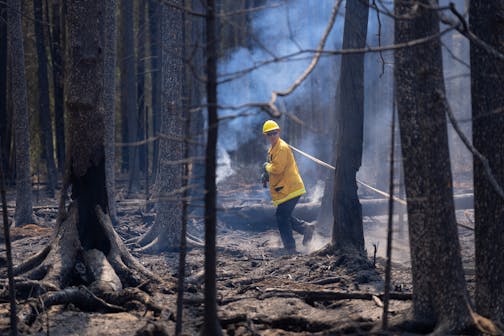 A North Star firefighter pulls a water line to douse a hot spot as part of the efforts to combat the Camp House in Brimson, Minn. on Thursday, May 15, 2025.   ]

ALEX KORMANN • alex.kormann@startribune.com