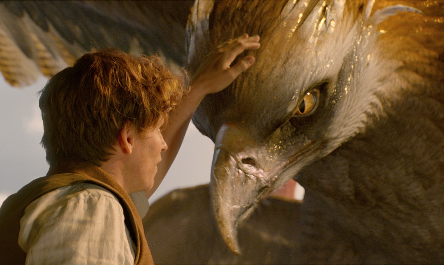 FB-VFX-DN-1060-GR Film Name: FANTASTIC BEASTS AND WHERE TO FIND THEM Copyright: &#xa9; 2016 WARNER BROS ENTERTAINMENT INC. ALL RIGHTS RESERVED Photo Credit: Courtesy of Warner Bros. Pictures Caption: EDDIE REDMAYNE as Newt Scamander and a beast called a Thunderbird in Warner Bros. Pictures' fantasy adventure "FANTASTIC BEASTS AND WHERE TO FIND THEM," a Warner Bros. Pictures release.