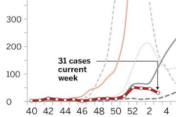 Hospitalized flu cases in Minnesota