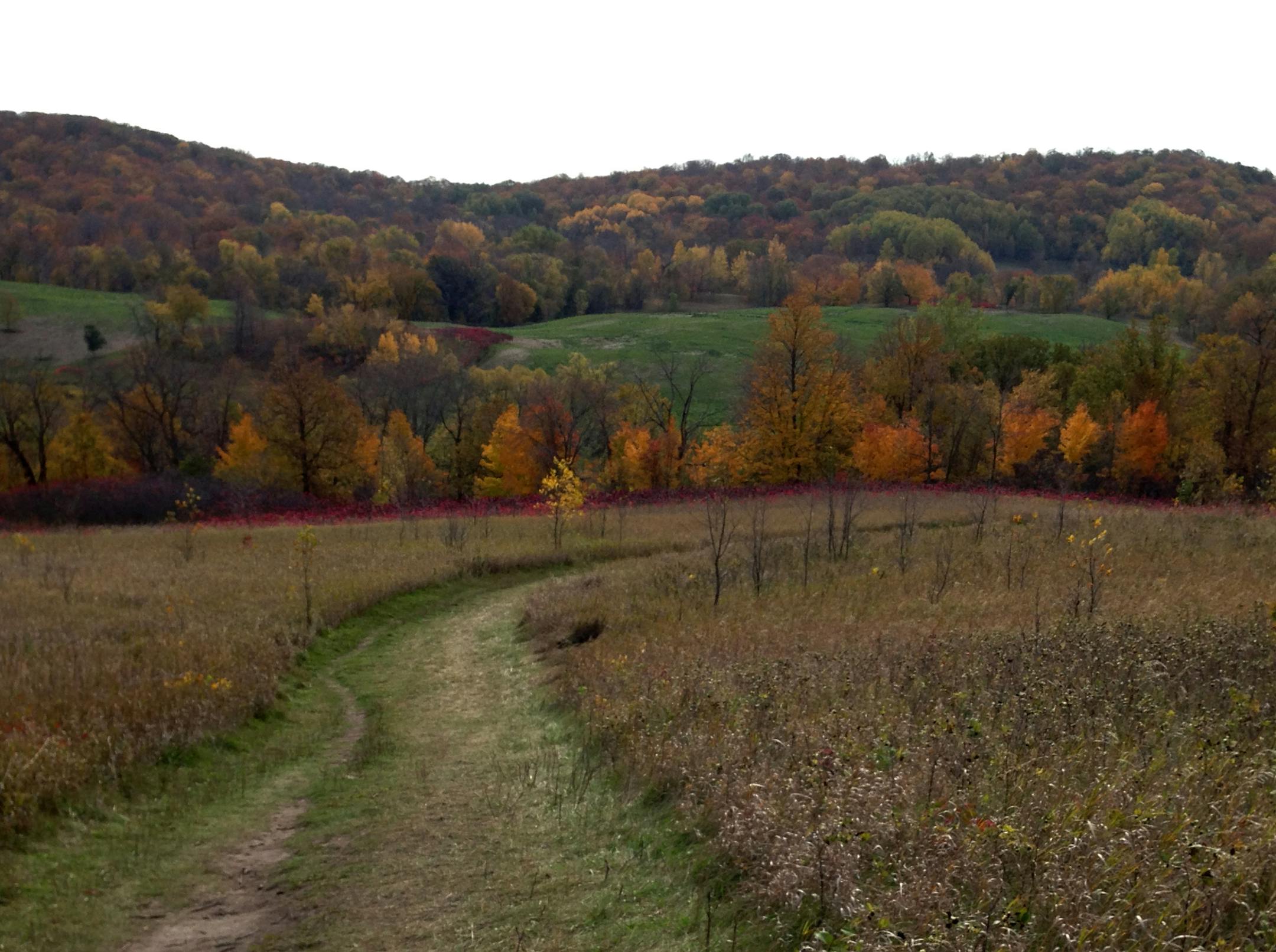 4) Hallaway (CORRECT SPELLING) Hill offers panoramic views of the changing colors and many lakes ] Gail Rosenblum