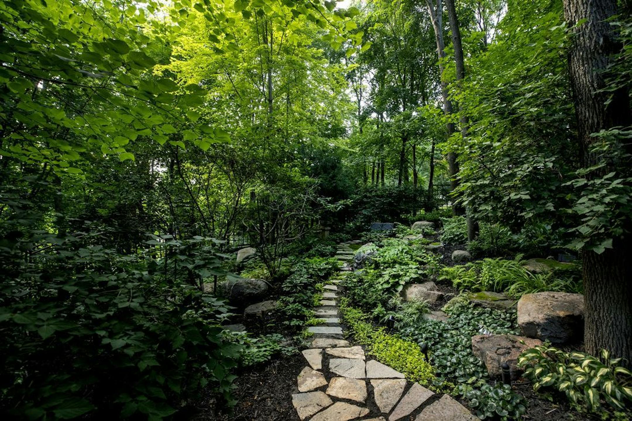 The couple wanted to create the feeling of being Up North, surrounded by nature.