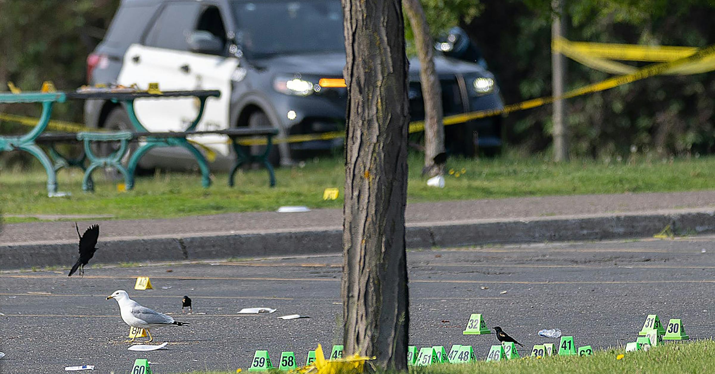 Man arrested in connection with Boom Island Park shooting in Minneapolis Man arrested in connection with Boom Island Park shooting in Minneapolis