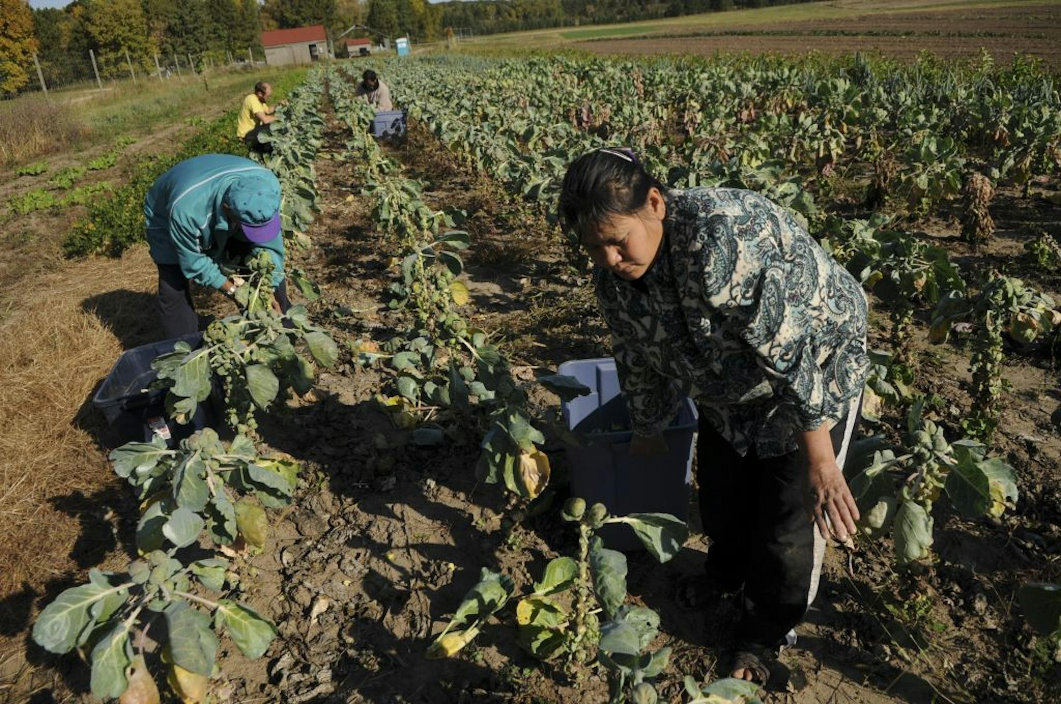 Farmers can learn about the considerable regulations of agriculture during the Feb. 3-4 conference, expected to attract more than 200 farmers.