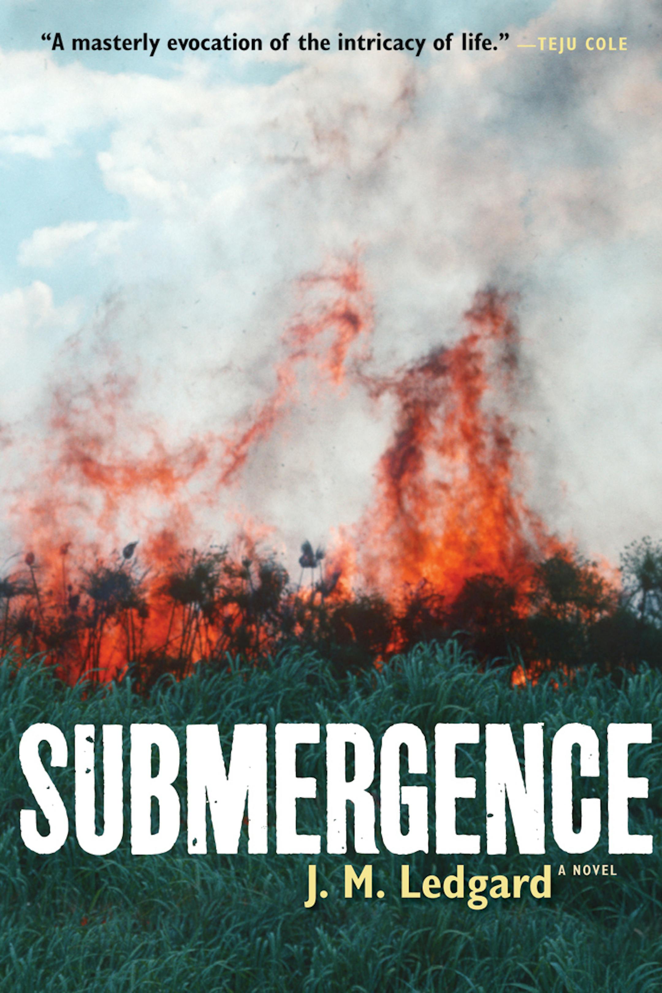 "Submergence," by J.M. Ledgard.