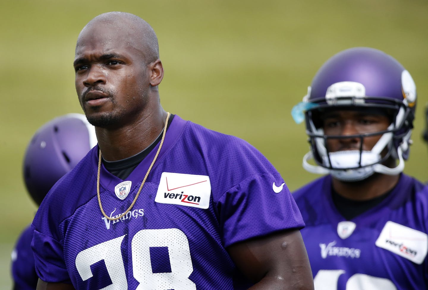 Minnesota Vikings running back Adrian Peterson (28)