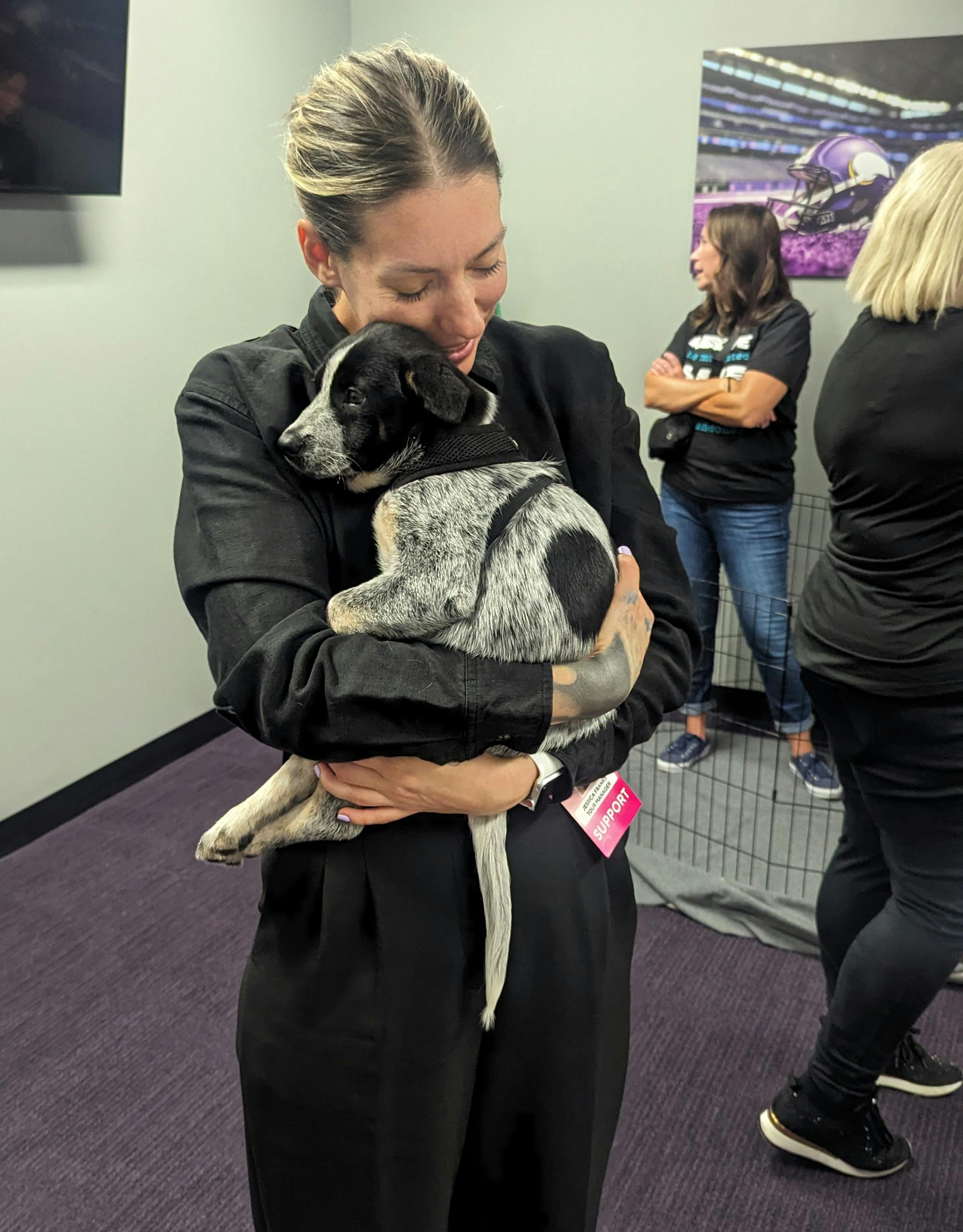 A Minnesota animal rescue group got an unusual request from crew members in town for Ed Sheeran's concert Saturday at U.S. Bank Stadium. They wanted to play with puppies. The concert workers sent a message to Princeton-based Ruff Start Rescue asking the non-profit if it could help put together a puppy party to help crew members relax before the concert.