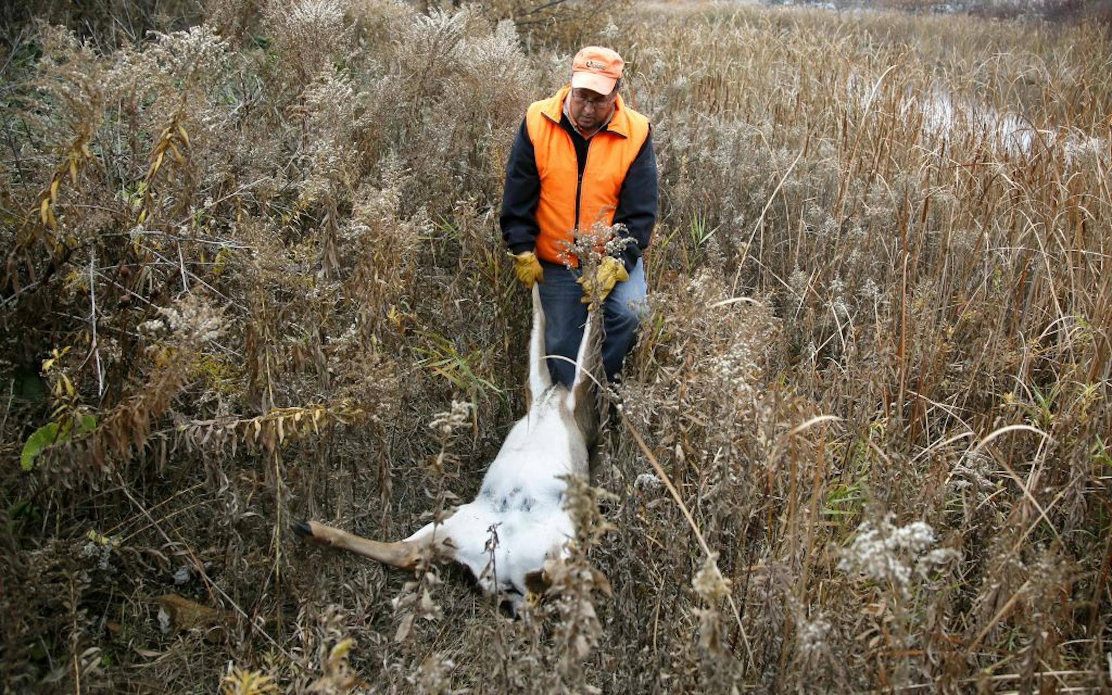 Kerry Swendsen shows the process of field dressing a deer. Here, Swendsen pulls the deer to a small slope with head facing down hill.