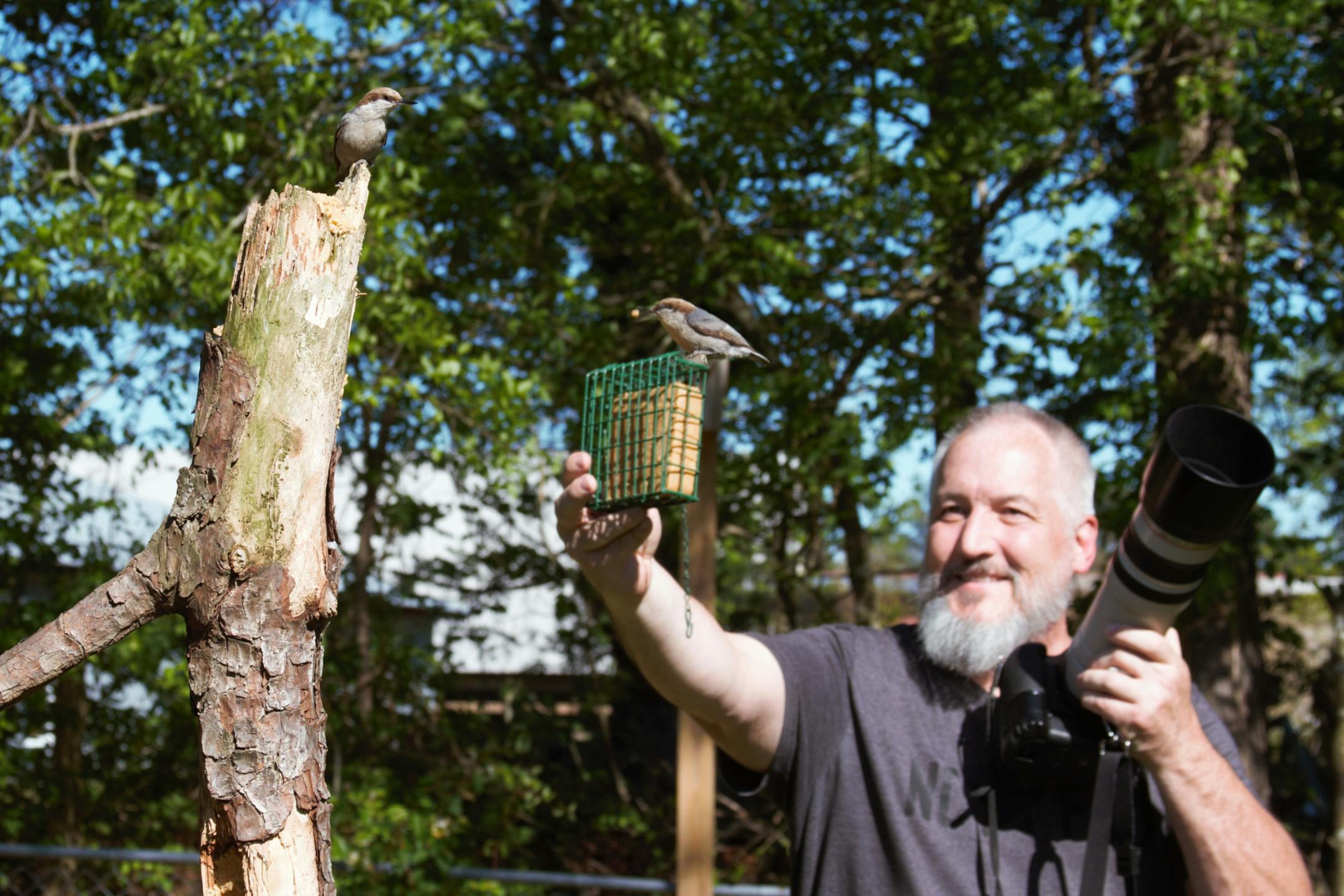 In this photo taken April 27, 2020, provided by Michael Kopack III, amateur bird watcher Michael Kopack Jr. holds his camera in the background while two nuthatches land nearby in Angier, N Kopack has gotten deeply involved in bird-watching during the coronavirus pandemic and put up a birdhouse for the first time this spring. (Michael Kopack III via AP)