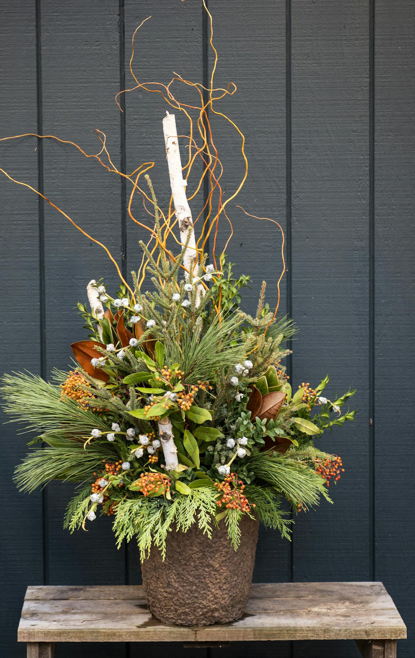 Winter spruce planter design from Madeline Parks, the assistant manager at Leitner's Garden Center. ] LEILA NAVIDI &#x2022; leila.navidi@startribune.com BACKGROUND INFORMATION: Ideas and steps for winter and holiday spruce planters from Leitner's Garden Center in St. Paul on Friday, November 1, 2019.