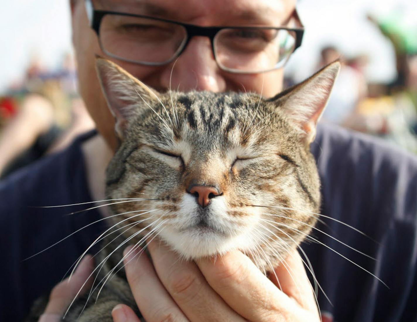 In 2014, Peter Pasquale attended the Internet Cat Festival at Walker Art Center with his better half, Jack, a tabby mix.