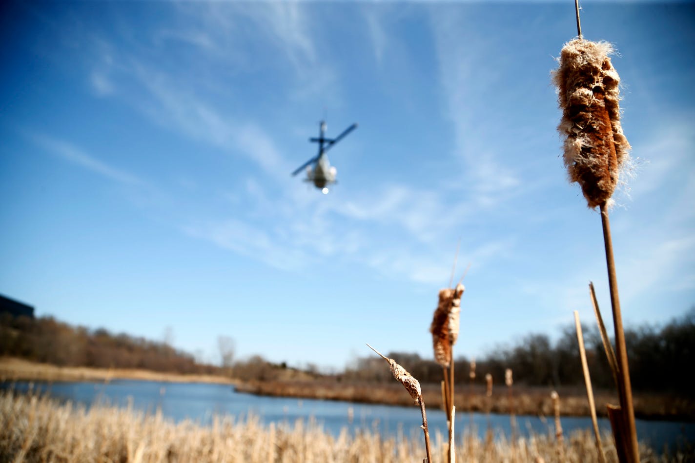 A helicopter from the Metro Mosquito Control District dropped anti-mosquito pellets over a wetland area near I-494 and Dodd Road in Egan.