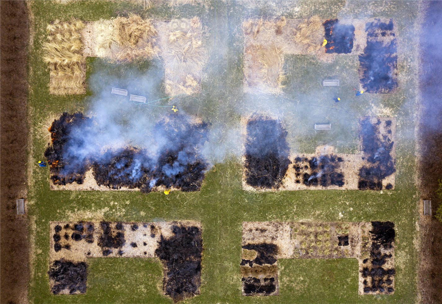 Crews at the Minnesota Landscape Arboretum burned the old growth from the Ornamental Grass Collection, which contains over 200 species and cultivars.