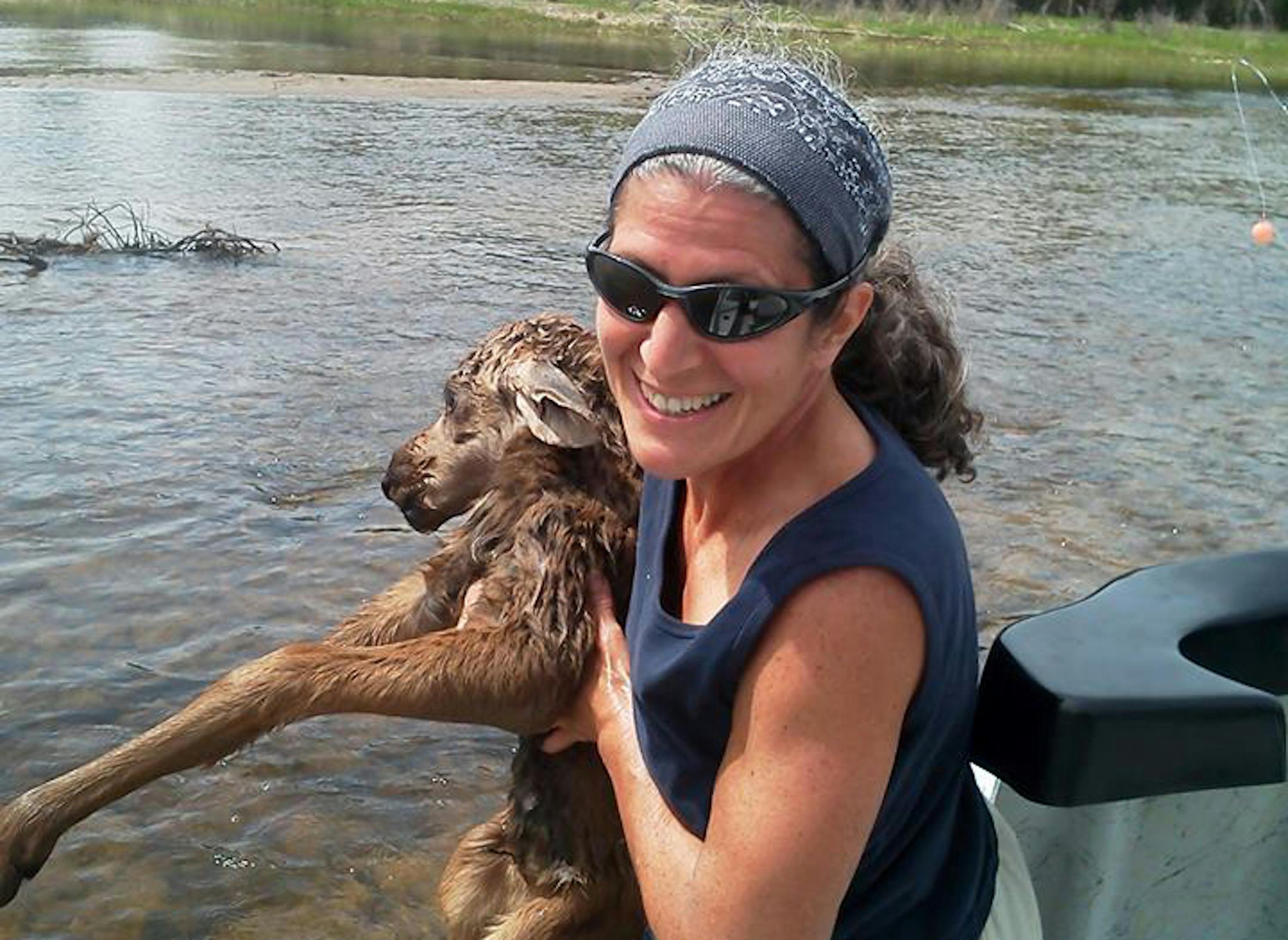 This image provided by the Four Rivers Fishing Co., shows Karen Sciascia of Red Hill, Pa., holding a baby moose she and Twin Bridges guide Seth McLean rescued in the Big Hole River in southwestern Montana on Saturday, June 1, 2013, near Missoula, Mont.