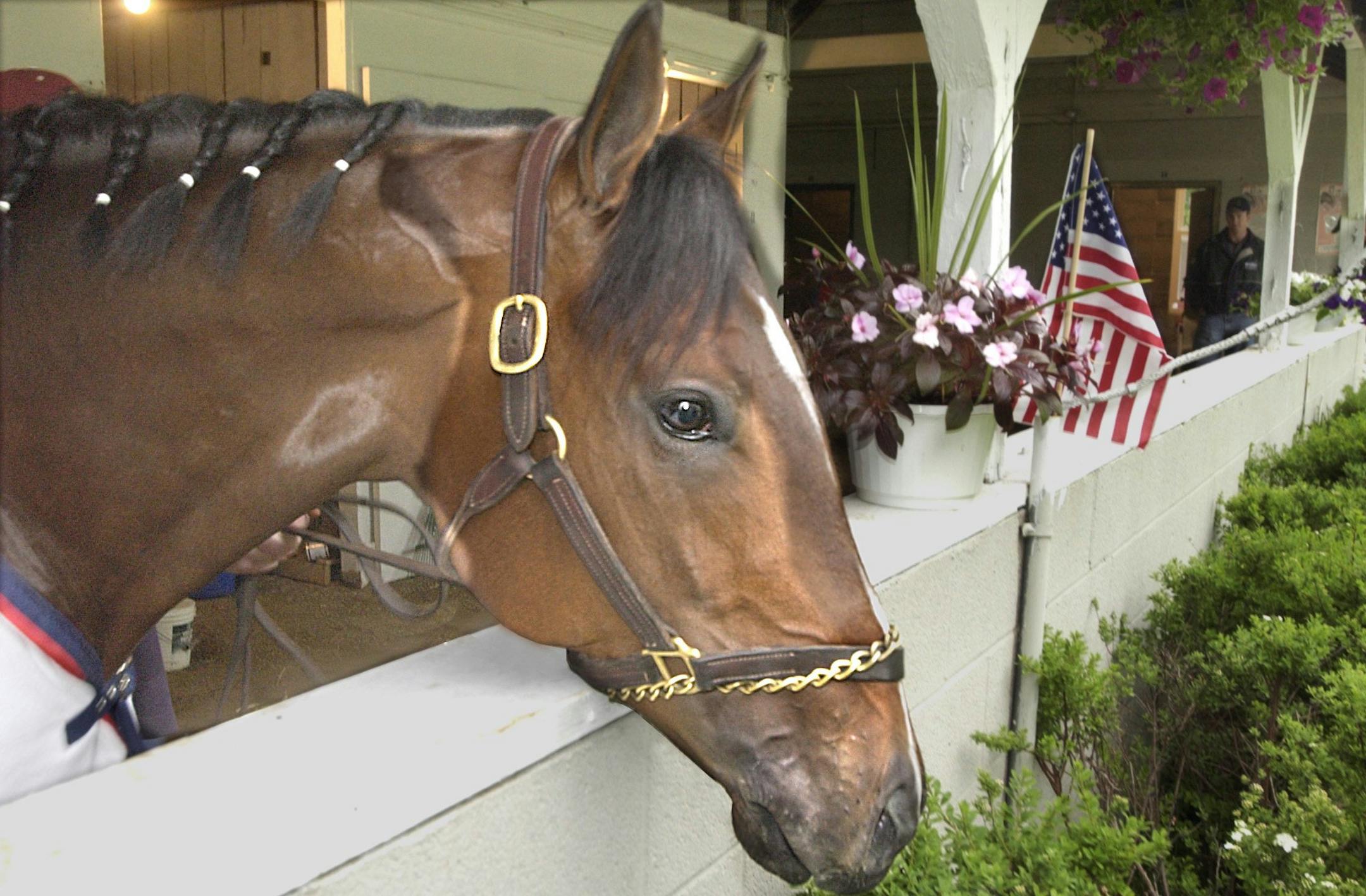 It'sallinthechase was a long shot in the Kentucky Derby: He went off at odds of 95-1 — the longest in the 2002 field.