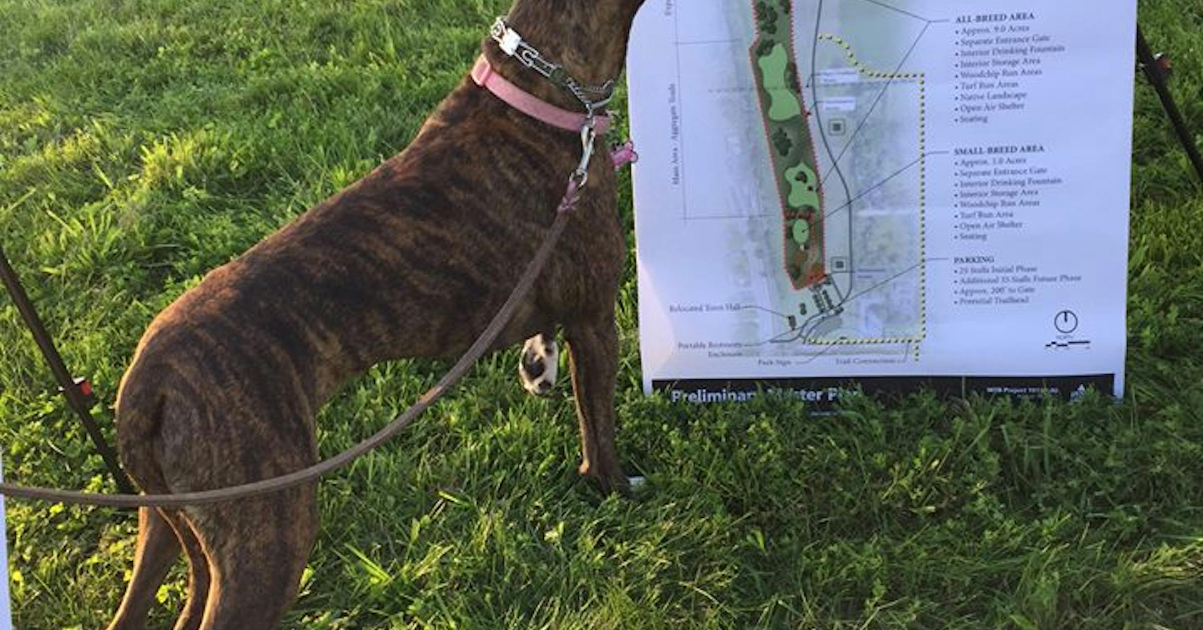 Reports of bullet casings found in Inver Grove Heights dog park prompt ...