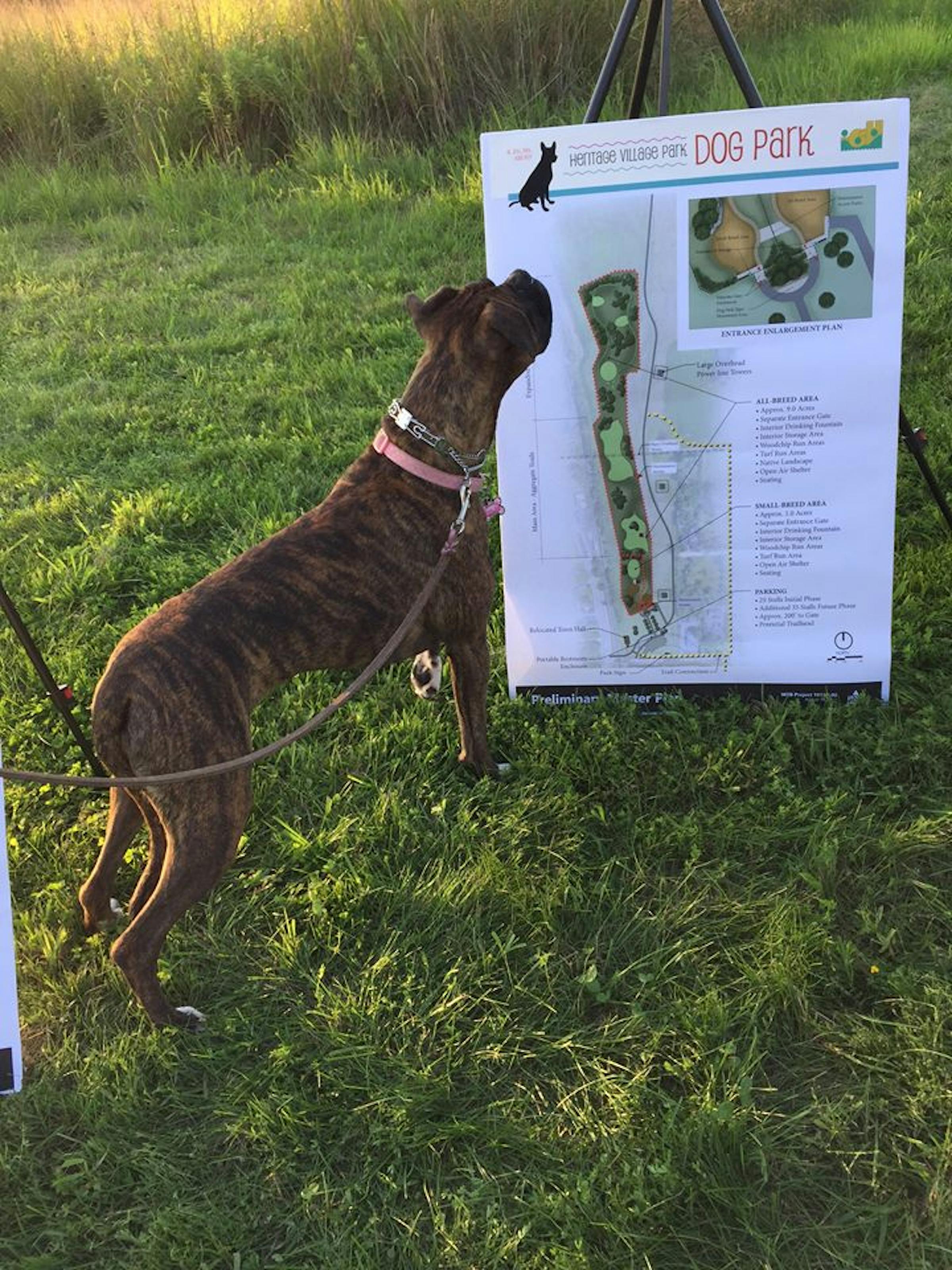 Reports of bullet casings found in Inver Grove Heights dog park prompt ...