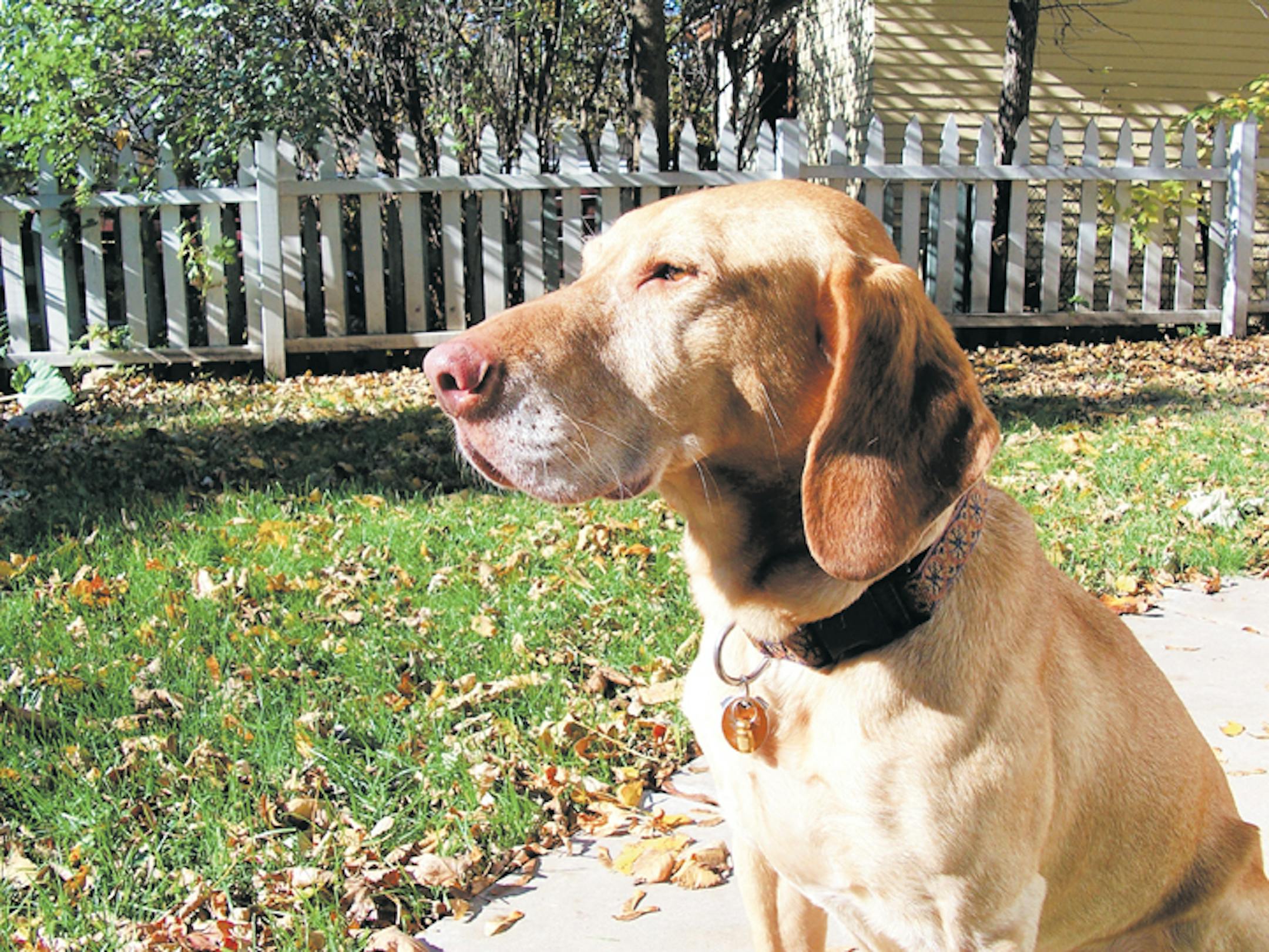 Tucker
