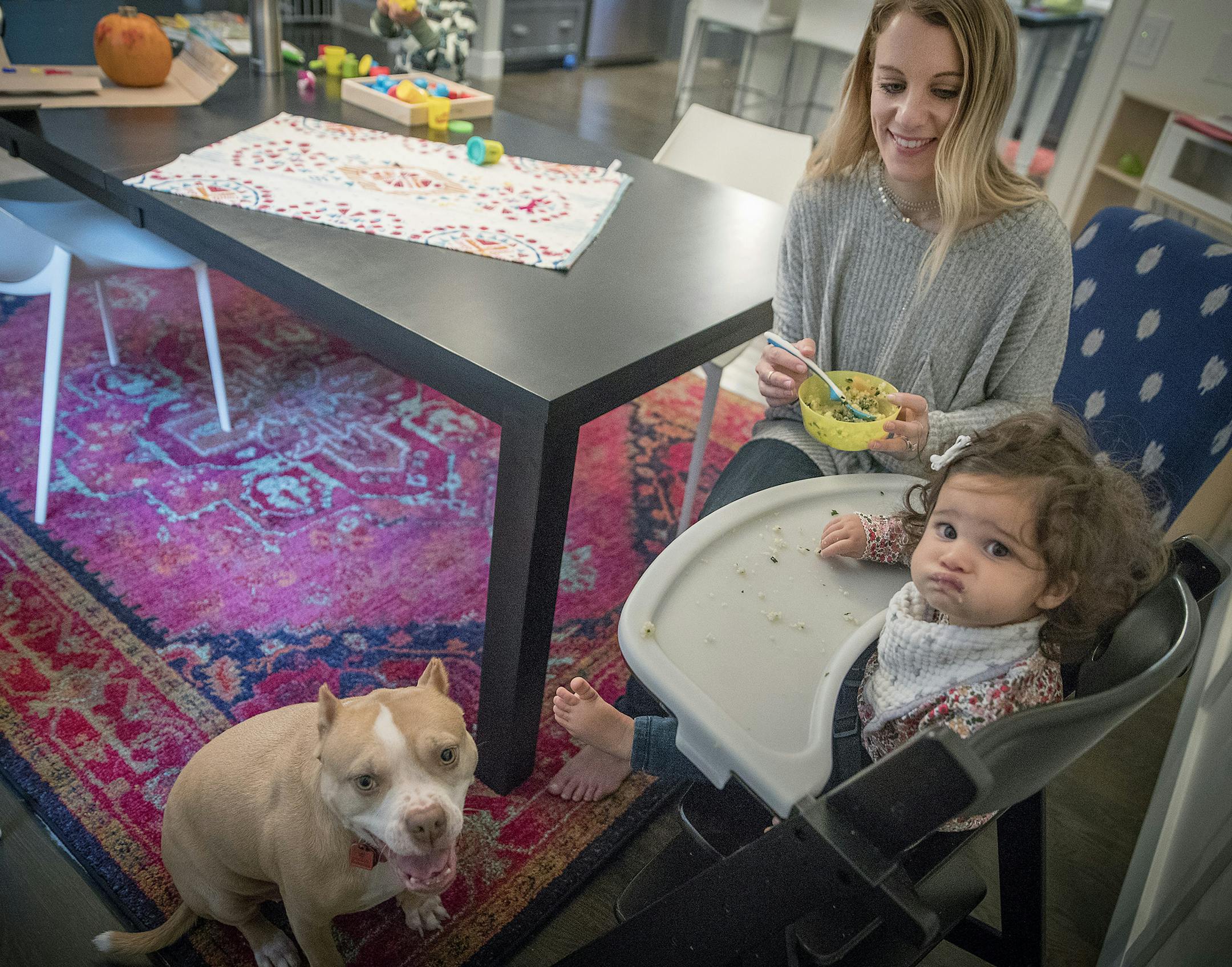 Jen Biswas fed her daughter Penelope lunch as their dog Chloe waited for snaps to fall, Wednesday, September 19, 2018. Biswas is a mother of two young children and a successful mom/lifestyle blogger in Minneapolis who started using Raised Real's services to simplify the arduous task of feeding her babies wholesome food. ] ELIZABETH FLORES &#xef; liz.flores@startribune.com