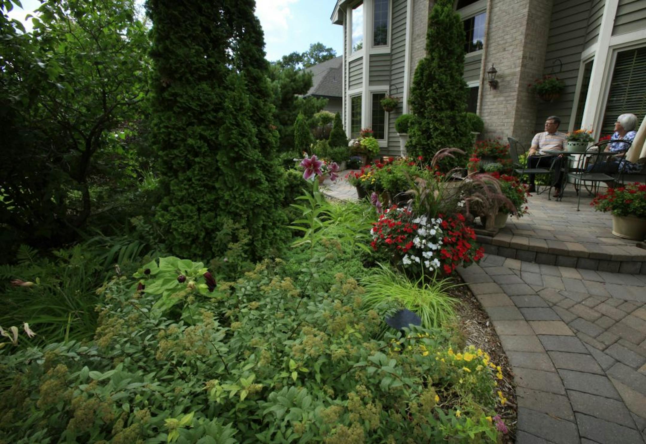 Chuck and Petra Meinke have been landscaping their Apple Valley home for the past two decades. The large back yard is les labor-intensive than it appears thanks to the use of ferns, ligularia, ground covers and 110 varieties of hosta. "We needed plants that take care of themselves," Chuck said.