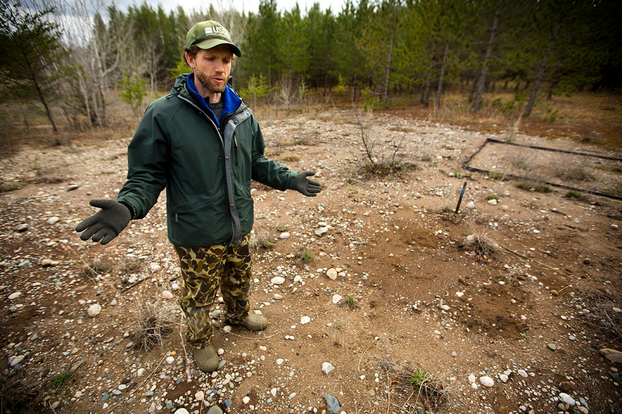 As Enbridge Energy plans another crude oil pipeline through northern Minnesota bog lands, state environmental officials are worried about the risk of another spill in sensitive natural areas. At the site of 1979 spill near Bemidji, scientists have dotted the landscape with bore holes to study of the lingering underground pollution. Here, US Geological Survey hydrologist Jared Trost stands on what was the "spray field" from the 1979 pipeline rupture. Little grows in the area, and oil in the sand