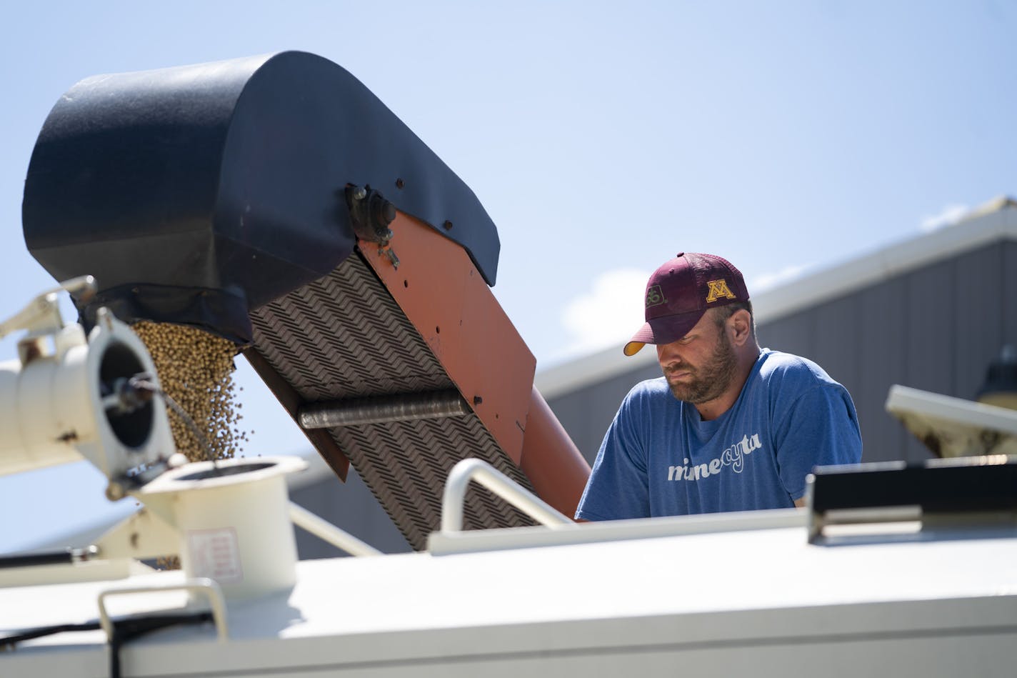 Brent Fuchs filled soybean seed into a trailer owned by farmer Connie Cihak Monday. Fuchs, a farmer near Dundas who is also is Cihak's seed dealer, has had to change her seed order four times to account for the late season. He also worked late Monday planting seed on his own farm.