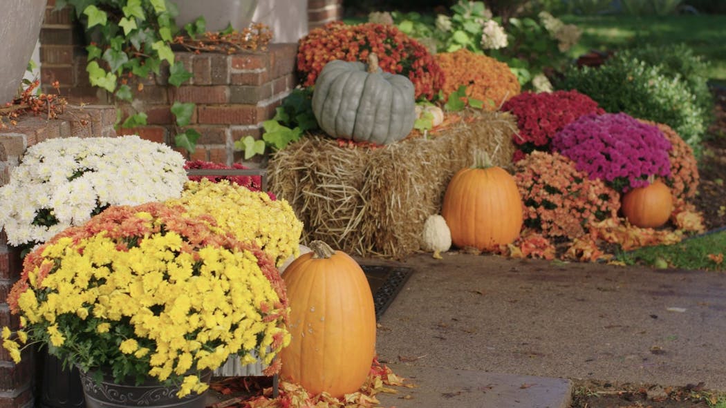 Create an autumn tableau on your porch.