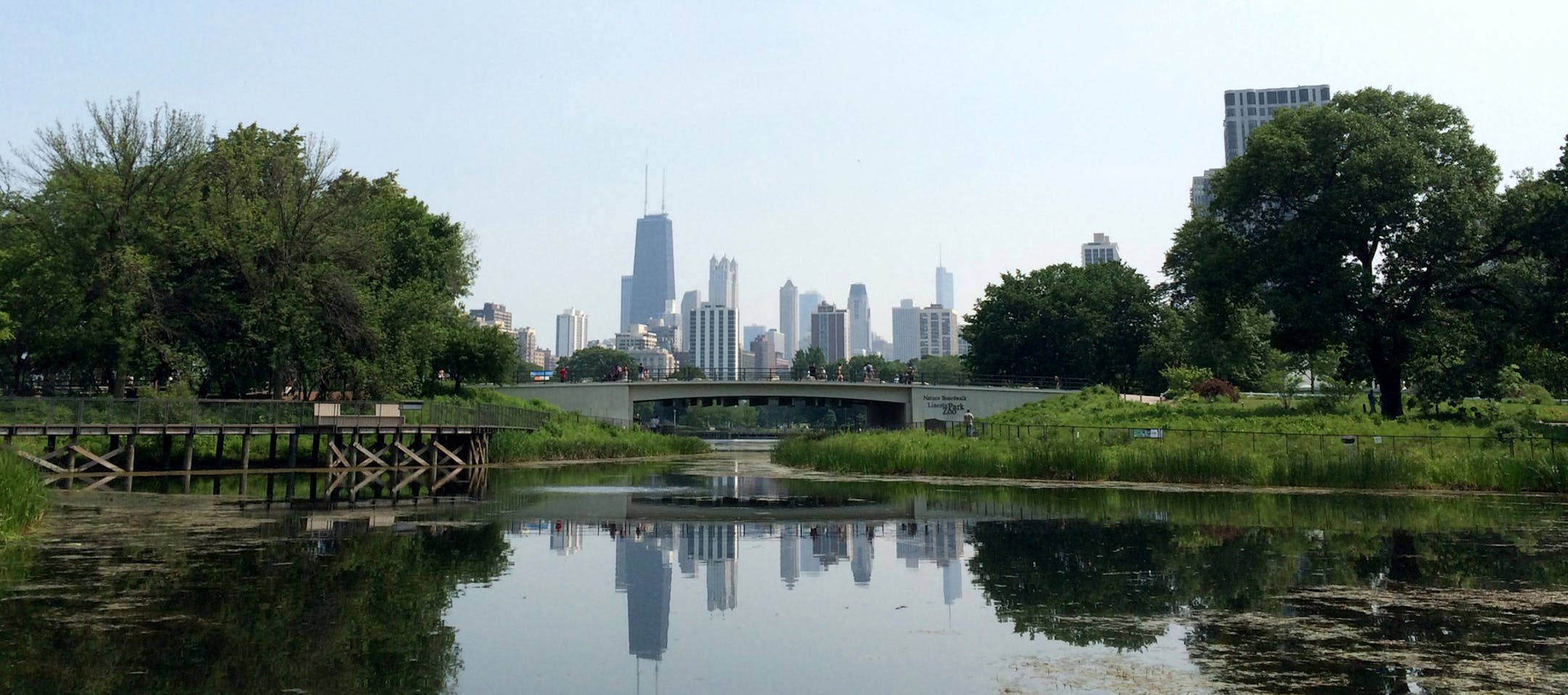 The downtown Chicago skyline as seen from the Lincoln Park Zoo.