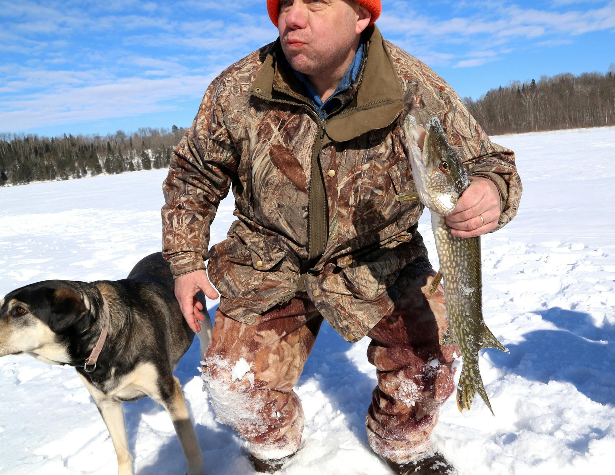 Dallas Hudson of Akeley, Minn., with a northern pike caught through the ice last week, part of a years-long study that Hudson and other private citizens have undertaken in part to measure the growth rates and eating habits of northern pike. Voracious eaters, some northern pike on the private lake have been caught more than 20 times ‚Äî evidence, Hudson says, of how susceptible a lake can be to overfishing.