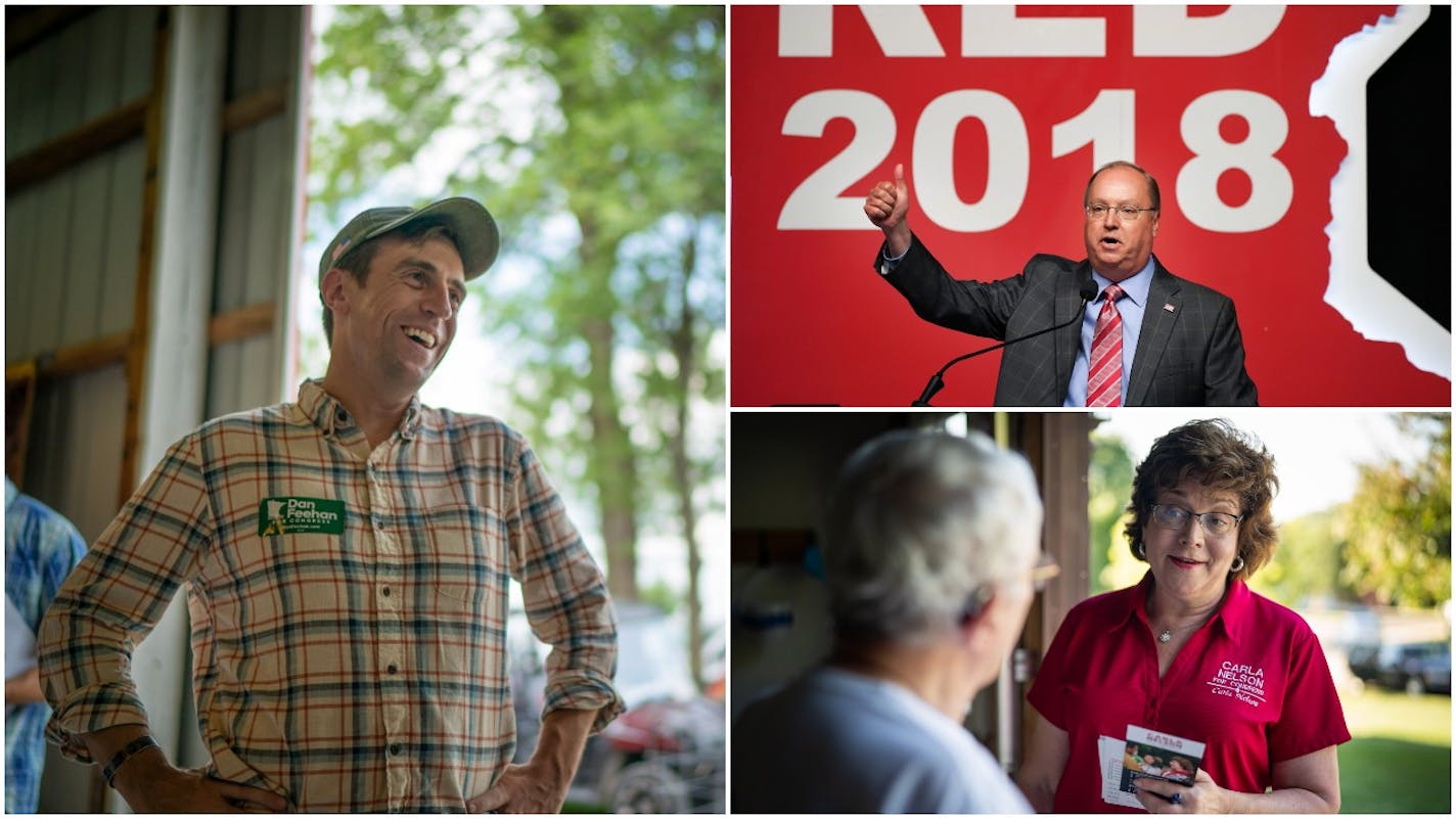 (Clockwise, top right) Jim Hagedorn is endorsed by the GOP in the First District race, Carla Nelson is also running as a Republican and Dan Feehan is the DFL-endorsed candidate.