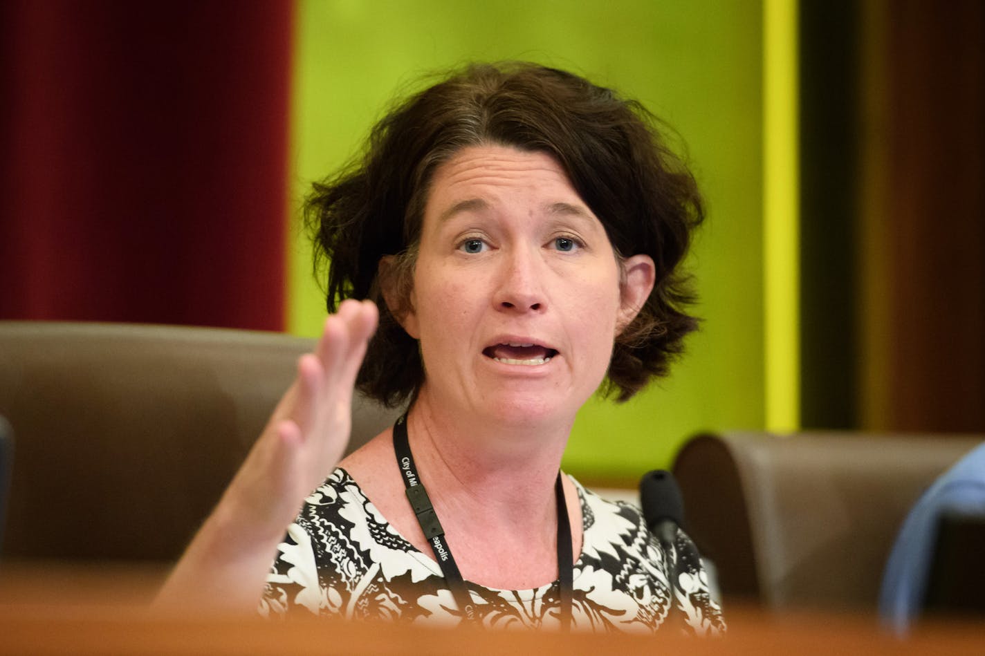 Council mamber Elizabeth Glidden started the meeting. ] GLEN STUBBE * gstubbe@startribune.com Wednesday, August 3, 2016 Members of 15 Now, NOC, CTUL and other groups trying to get a $15 minimum wage on the Minneapolis ballot this November gathered outside City Hall and marched together as a group into council chambers to press their demands.